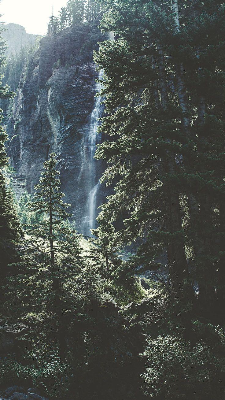 736x1308 Tap To Download Free Forest iPhone X Wallpaper By X