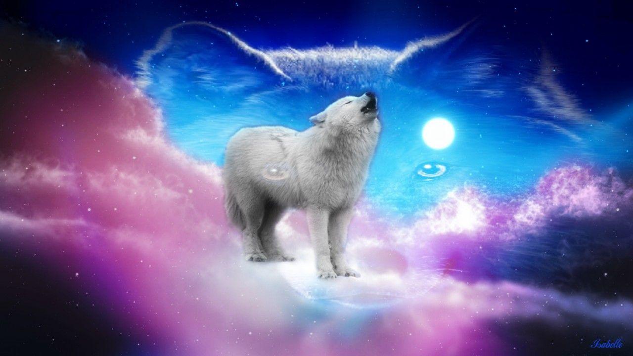 1280x720 Free download Cute Wolf Pink Sky Full Moon wallpaper Cute Wolf