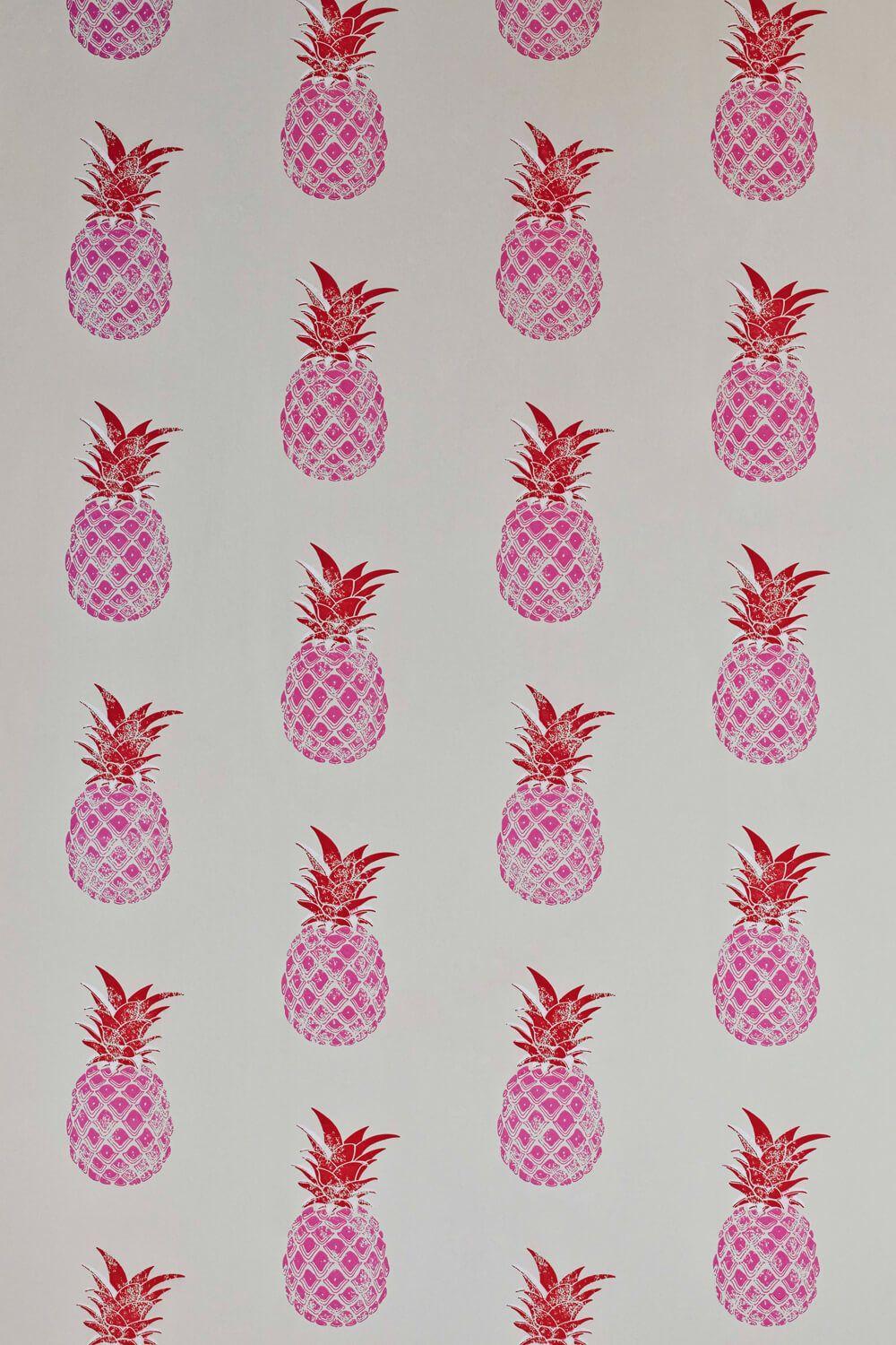 Pink Pineapple Wallpapers Top Free Pink Pineapple Backgrounds