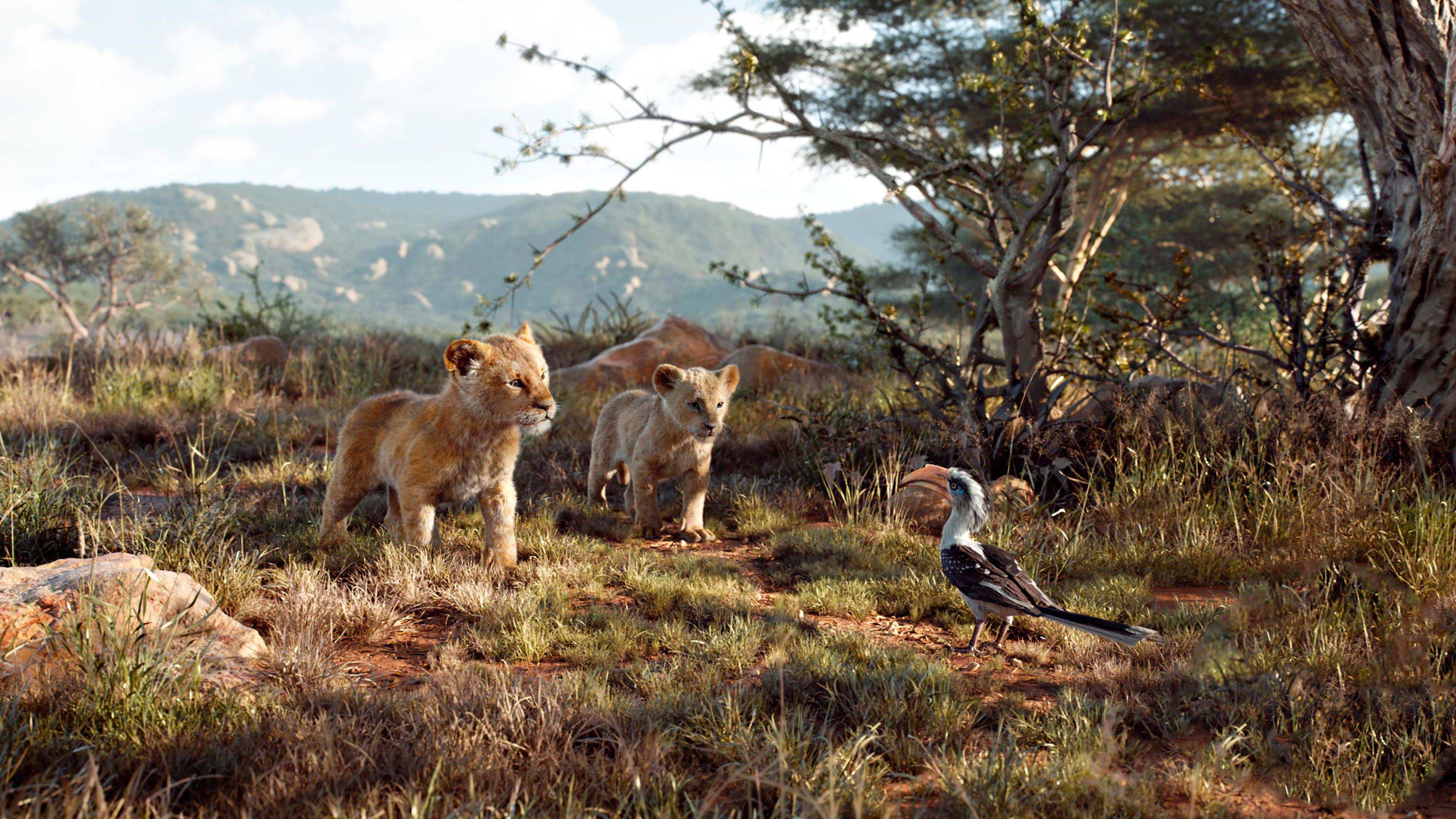 3840x2160 The Lion King 2019 Simba Nala Zazu 4K Wallpaper