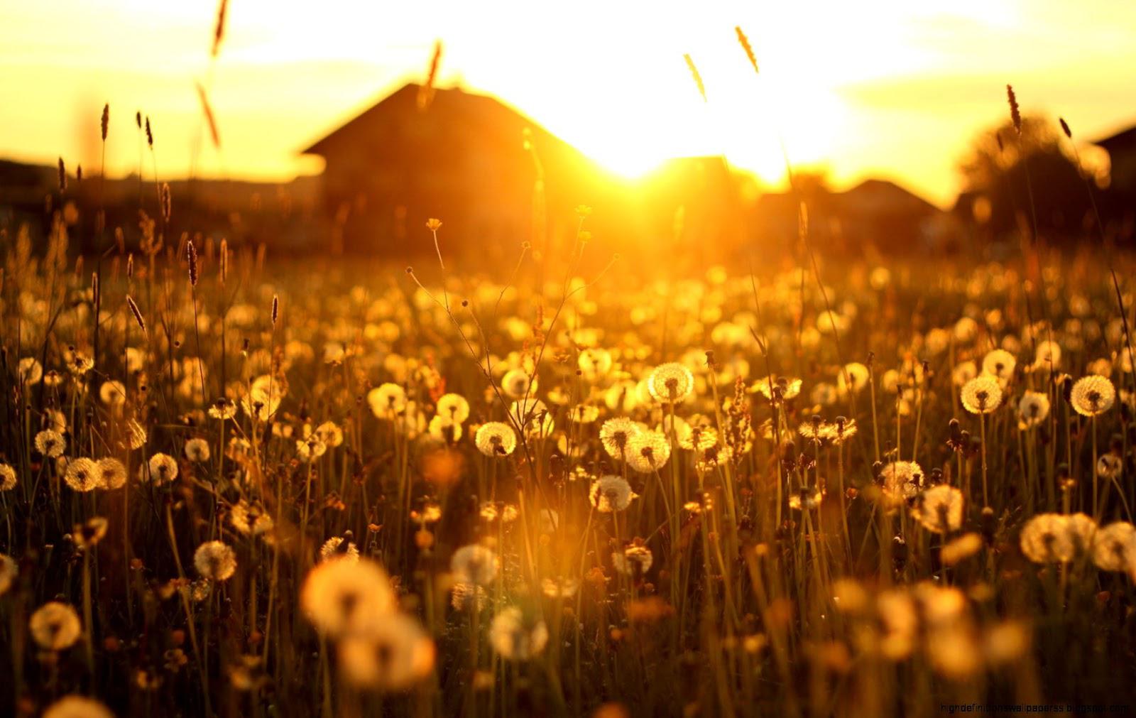 1600x1011 IY. Country Sunset, selected