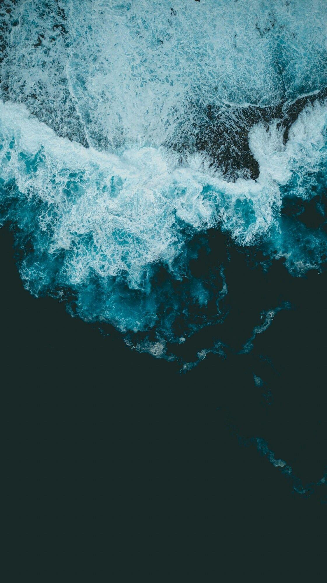 1121x1996 đài hoa hú về mặt thẩm mỹ.  Hình nền đại dương