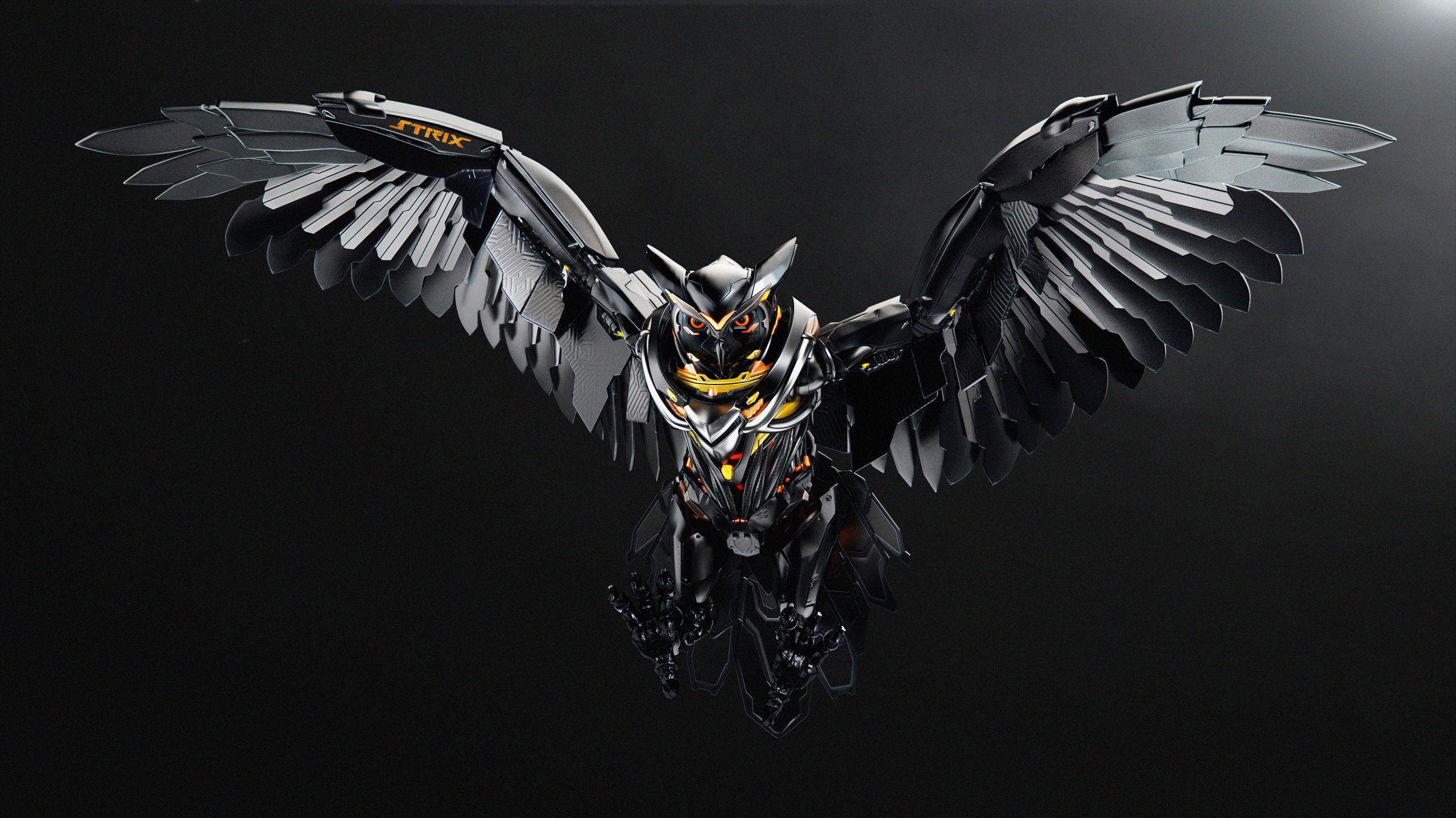 2560x1440 Asus Rog Strix Owl 4k 1440P Resolution HD 4k Wallpaper