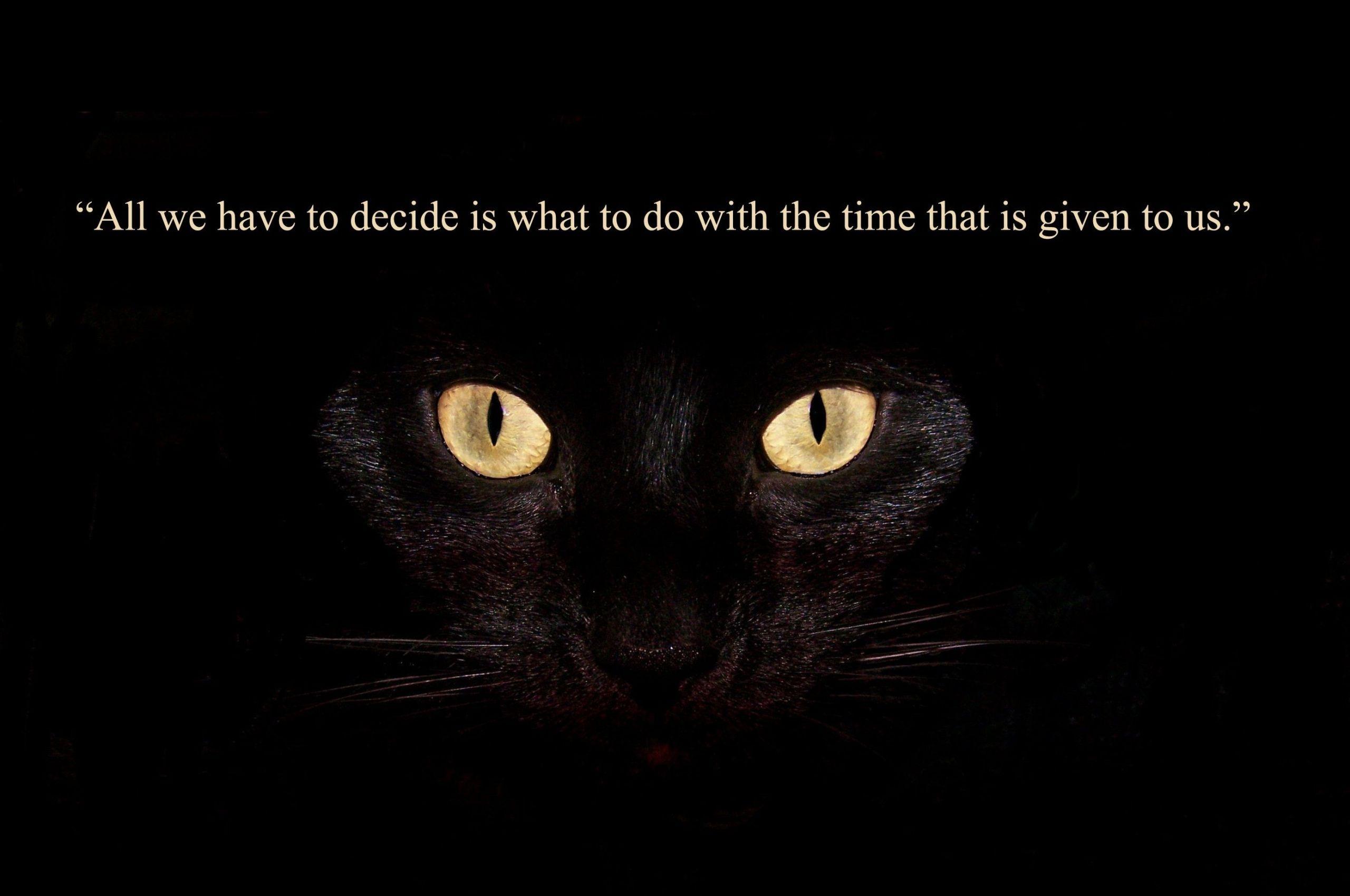 2560x1700 Free download Strong wise wisdom quotes image wallpaper 2018 HD