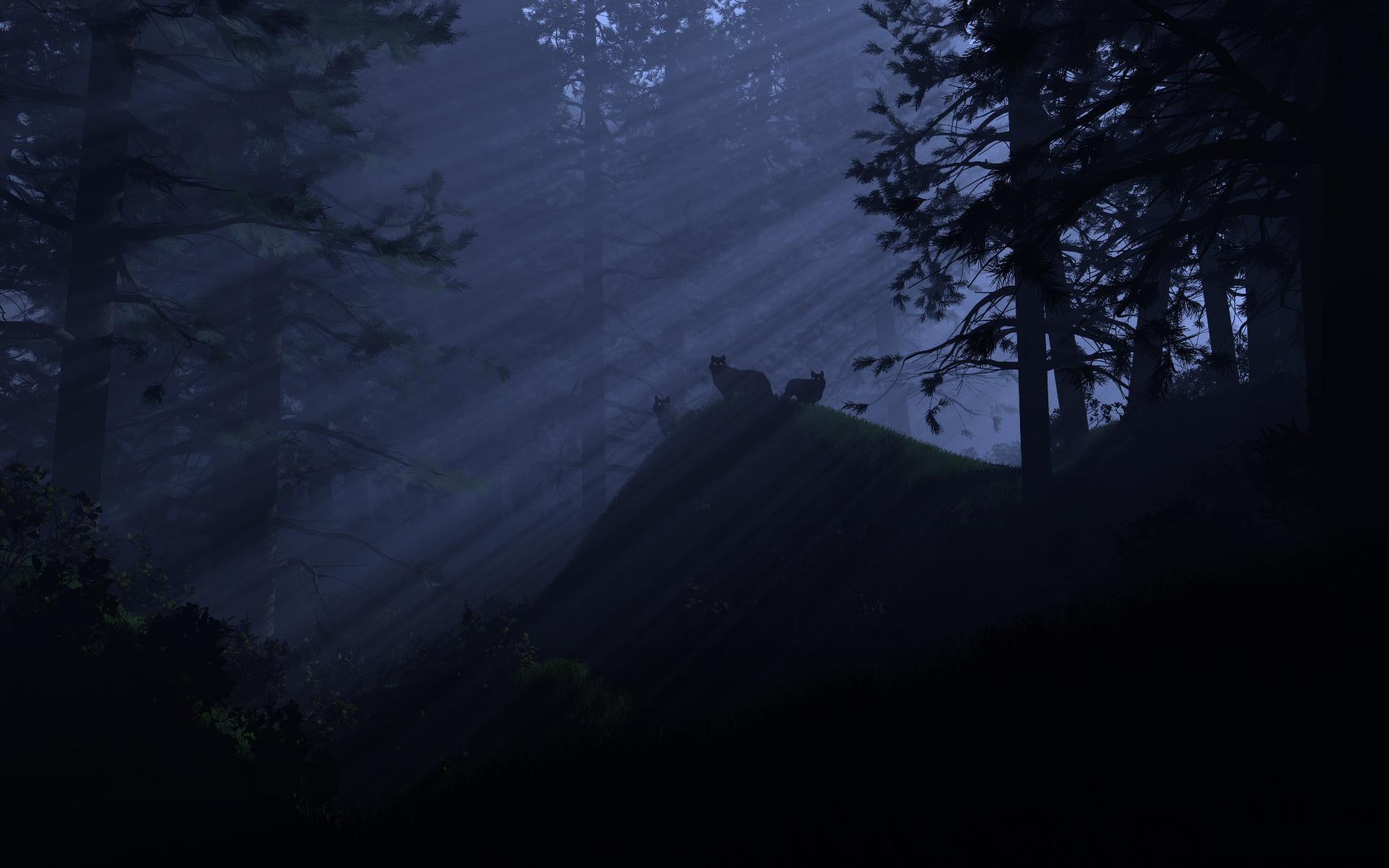 1920x1200 Children, night, art, landscape, wallpaper, digital, other