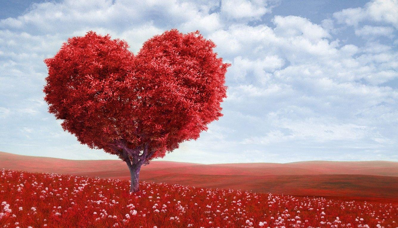 Heart Laptop Wallpapers - Top Free Heart Laptop Backgrounds ...