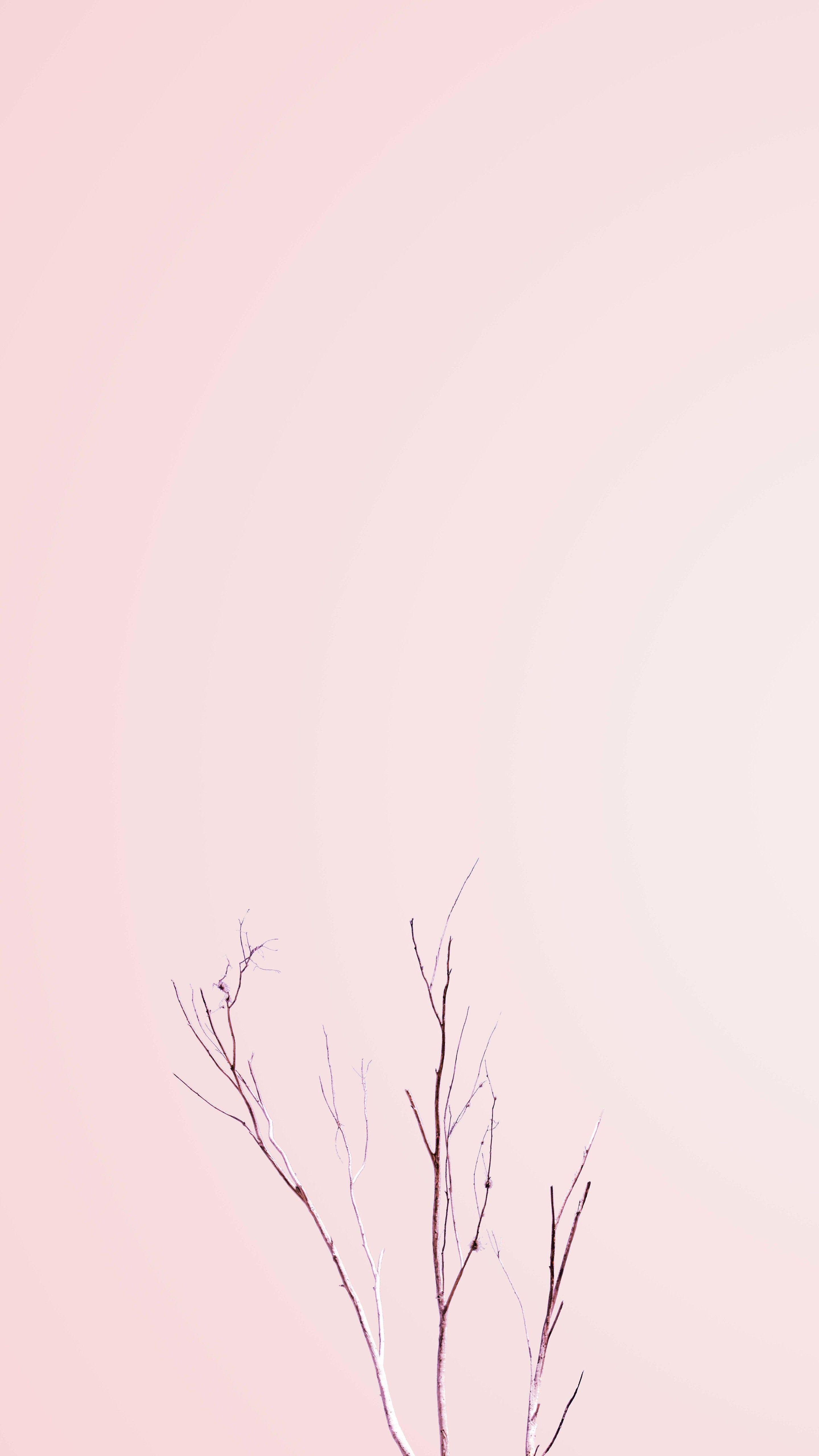 pastel minimalist desktop wallpaper hd