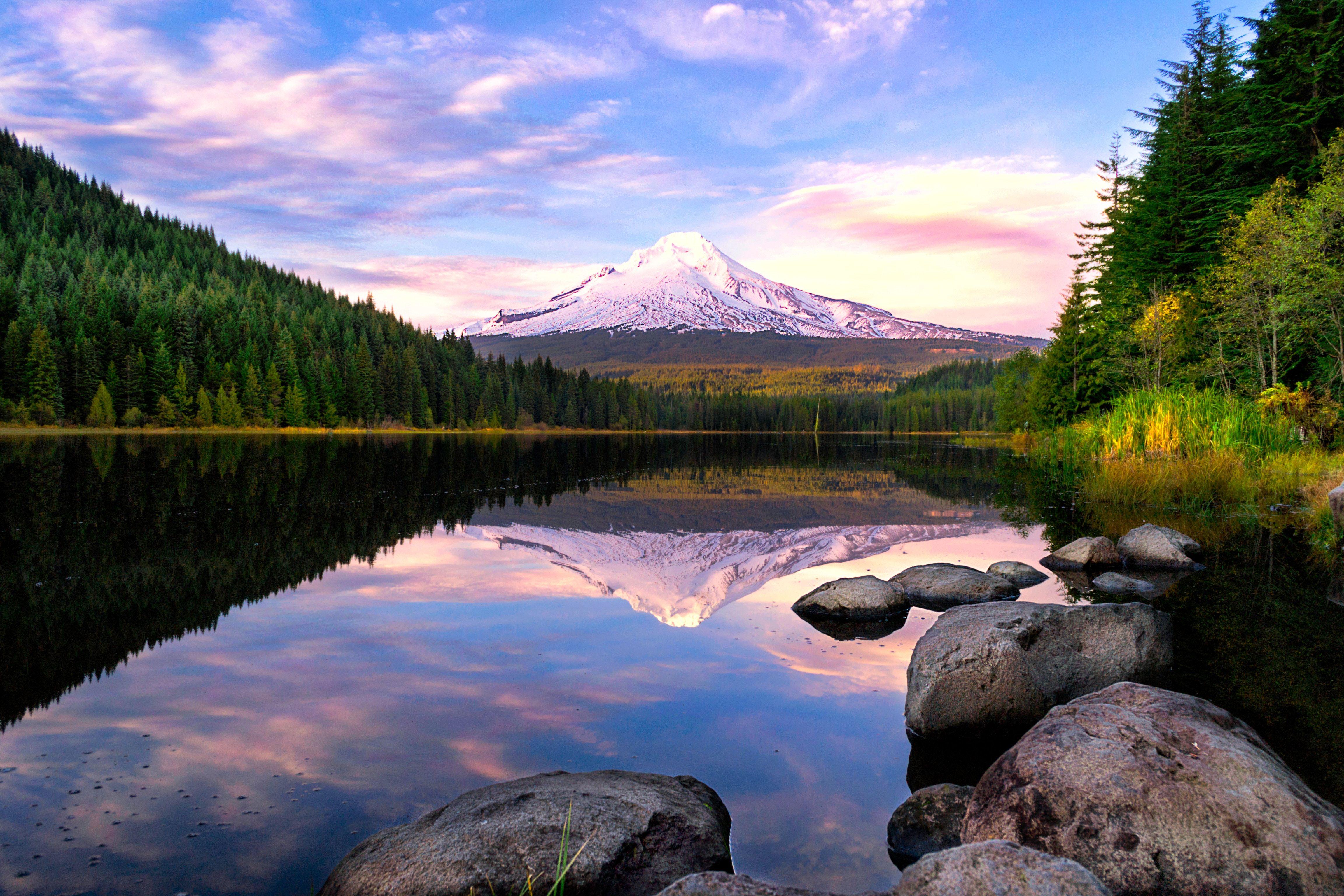 4608x3072 Wallpaper Trillium Lake, Mount Hood, Reflection, Pine trees, 4K