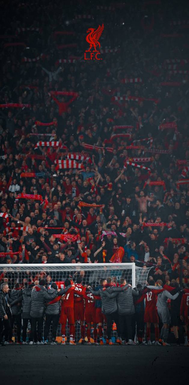 629x1280 Anfield Wallpaper