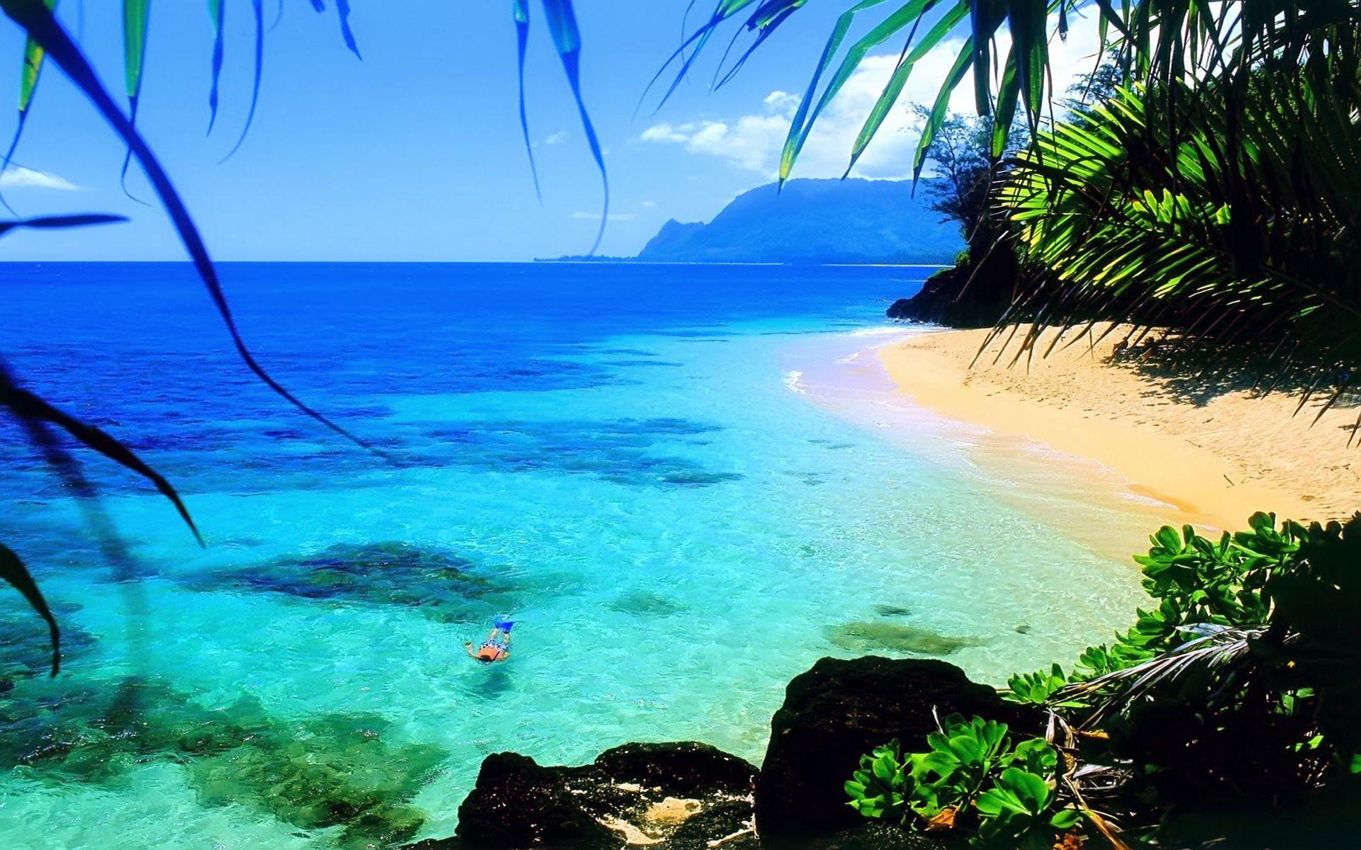 1920x1200 Ocean Hawaii Beach Beautiful HD Wallpaper For Laptop