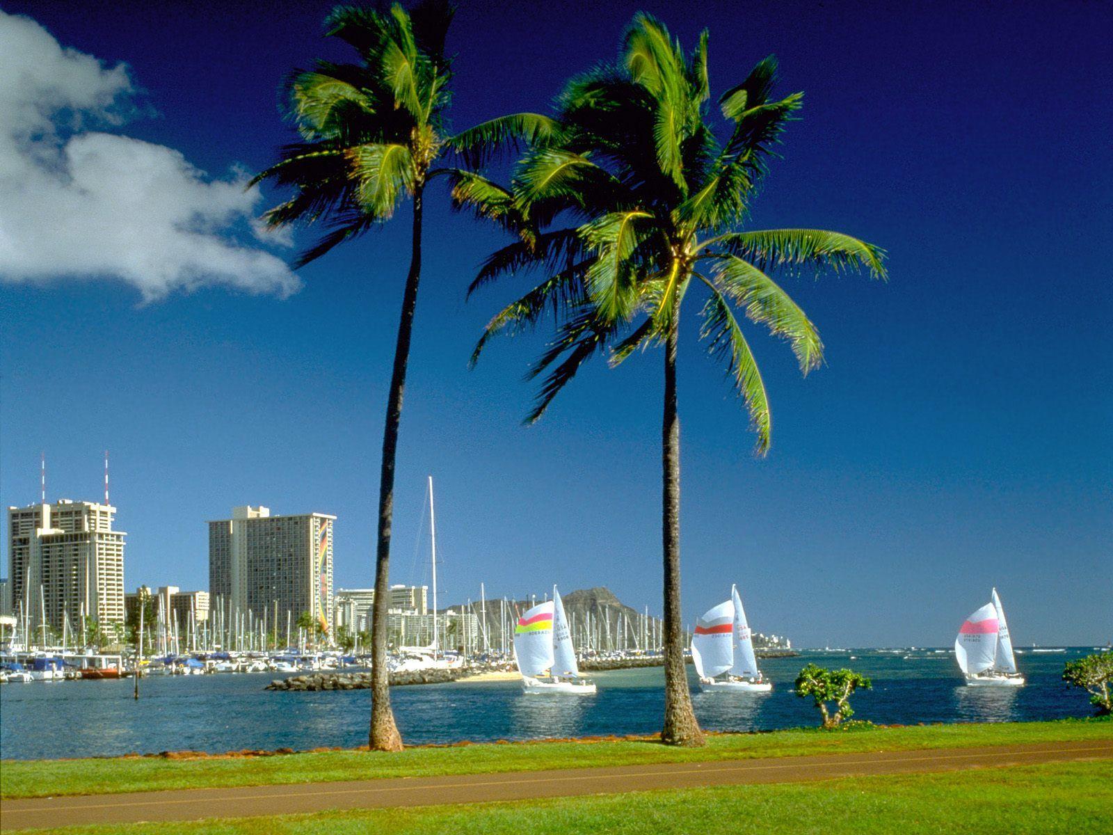 1600x1200 Hawaii Beach HD Wallpaper (1600x1200)