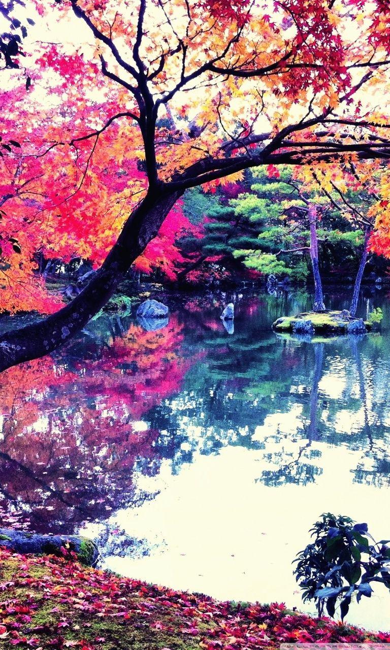 768x1280 Fall In Japan ❤ 4K HD Desktop Wallpaper for 4K Ultra HD TV • Wide