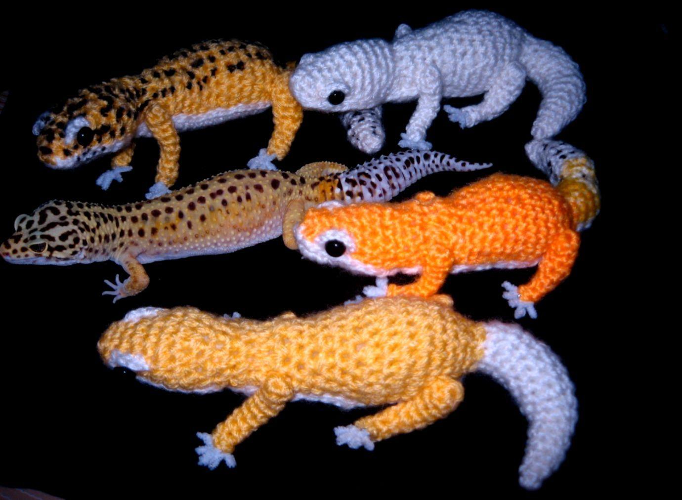 1380x1012 Cute Baby Leopard Gecko