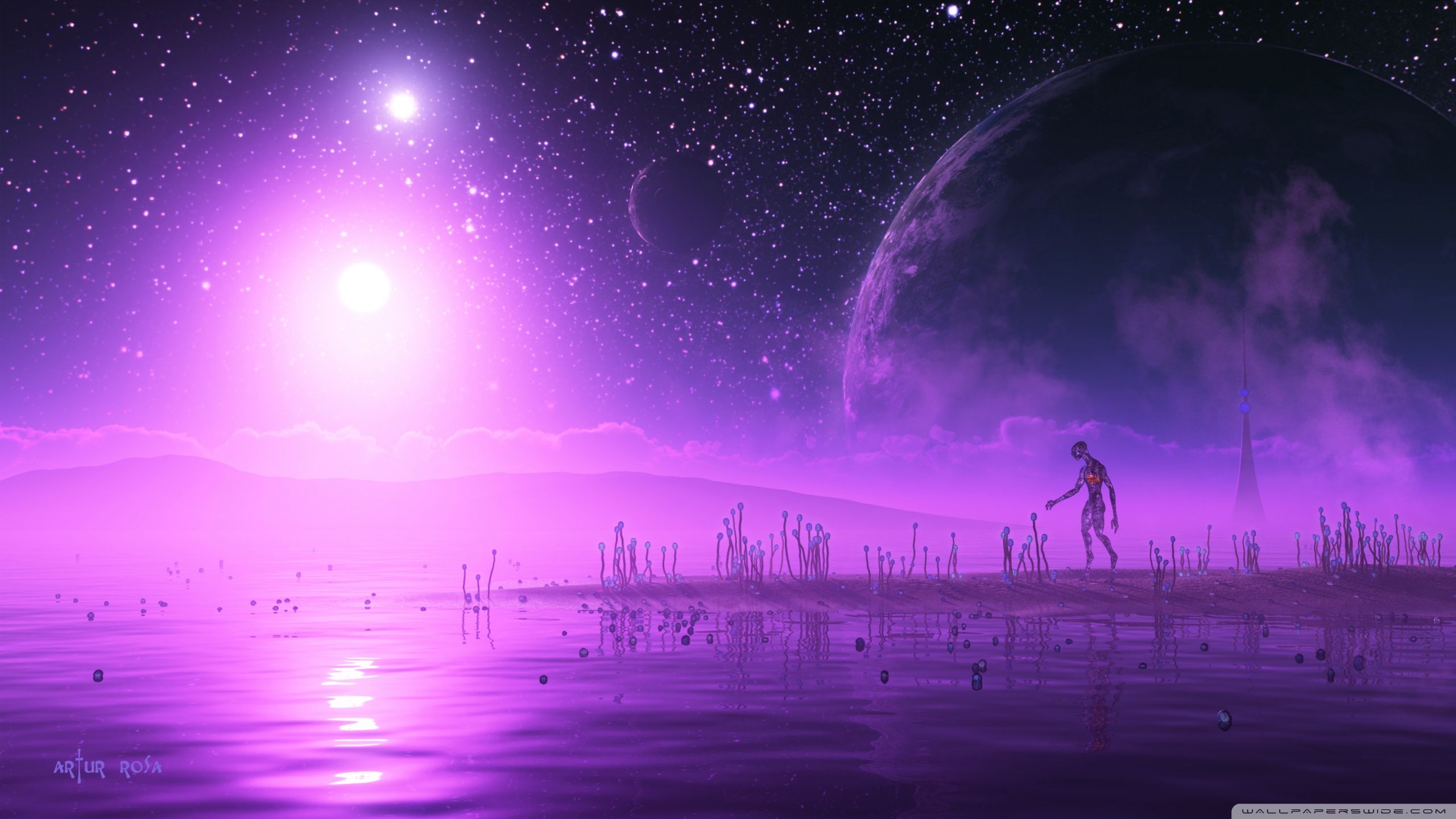 2560x1440 Purple Wallpaper