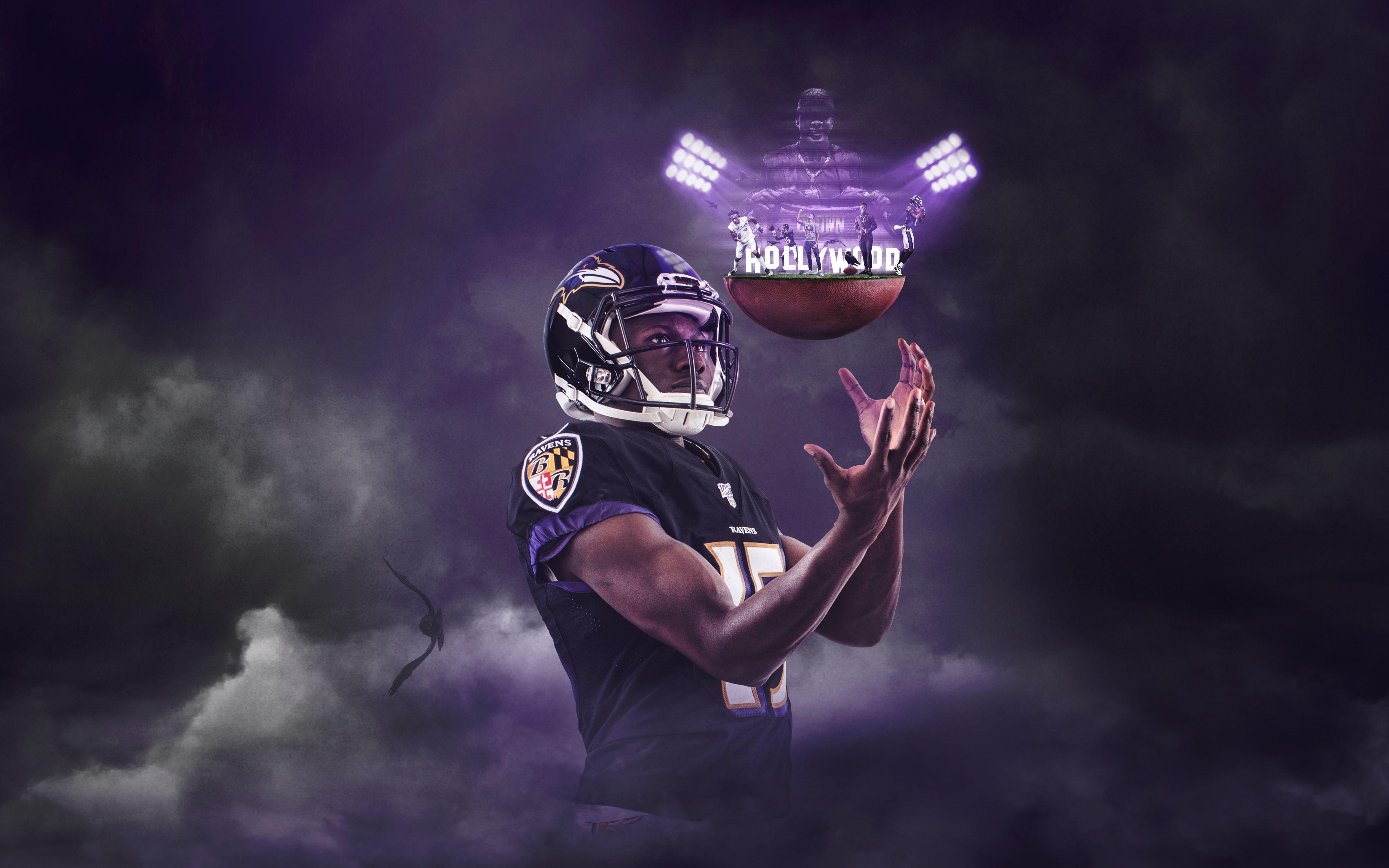 Hình nền 4800x3000 Raven.  Baltimore Raven