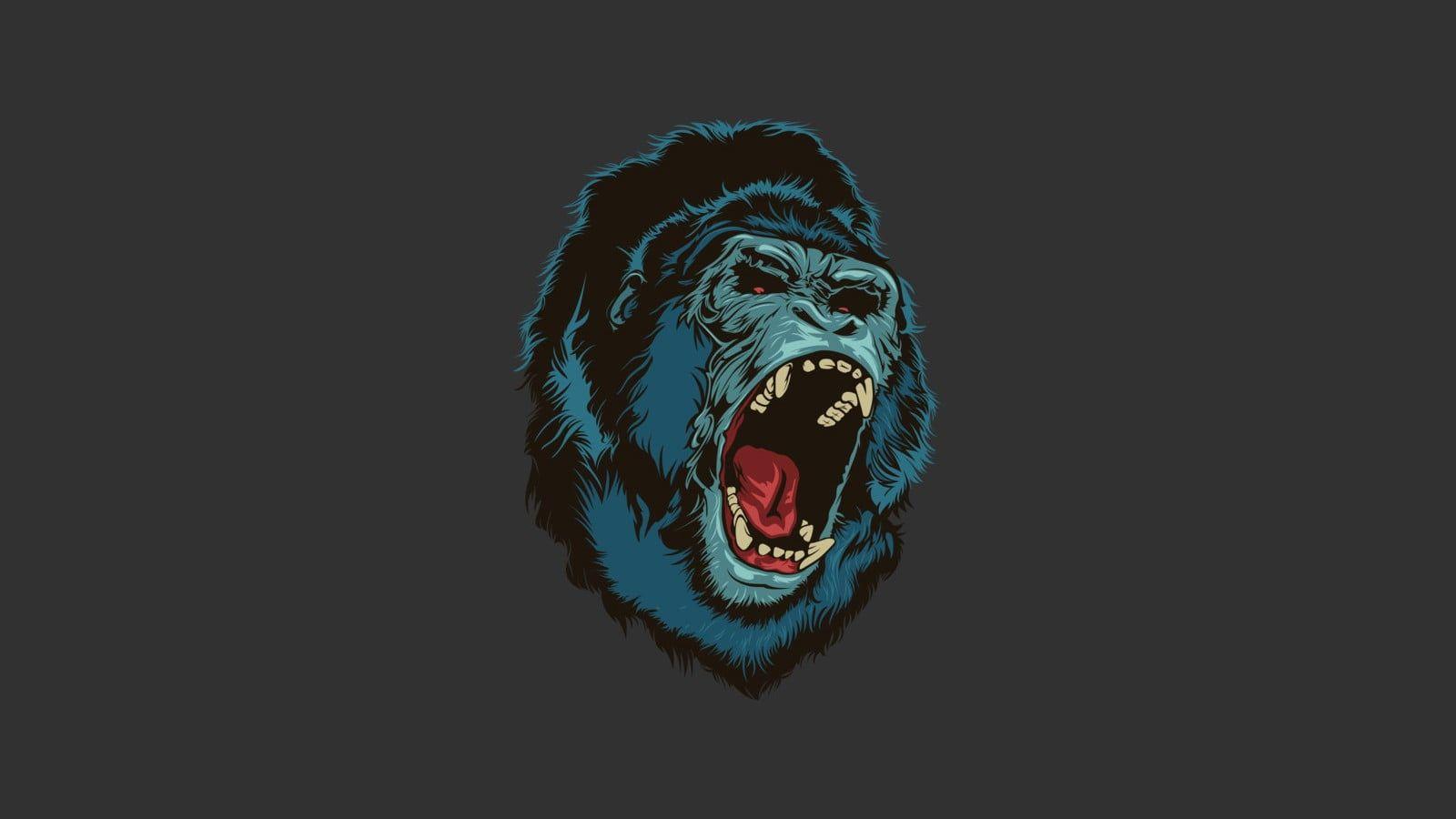 Hình nền kỹ thuật số 1600x900 Black gorilla, tiếng gầm, con khỉ, vượn, đơn giản