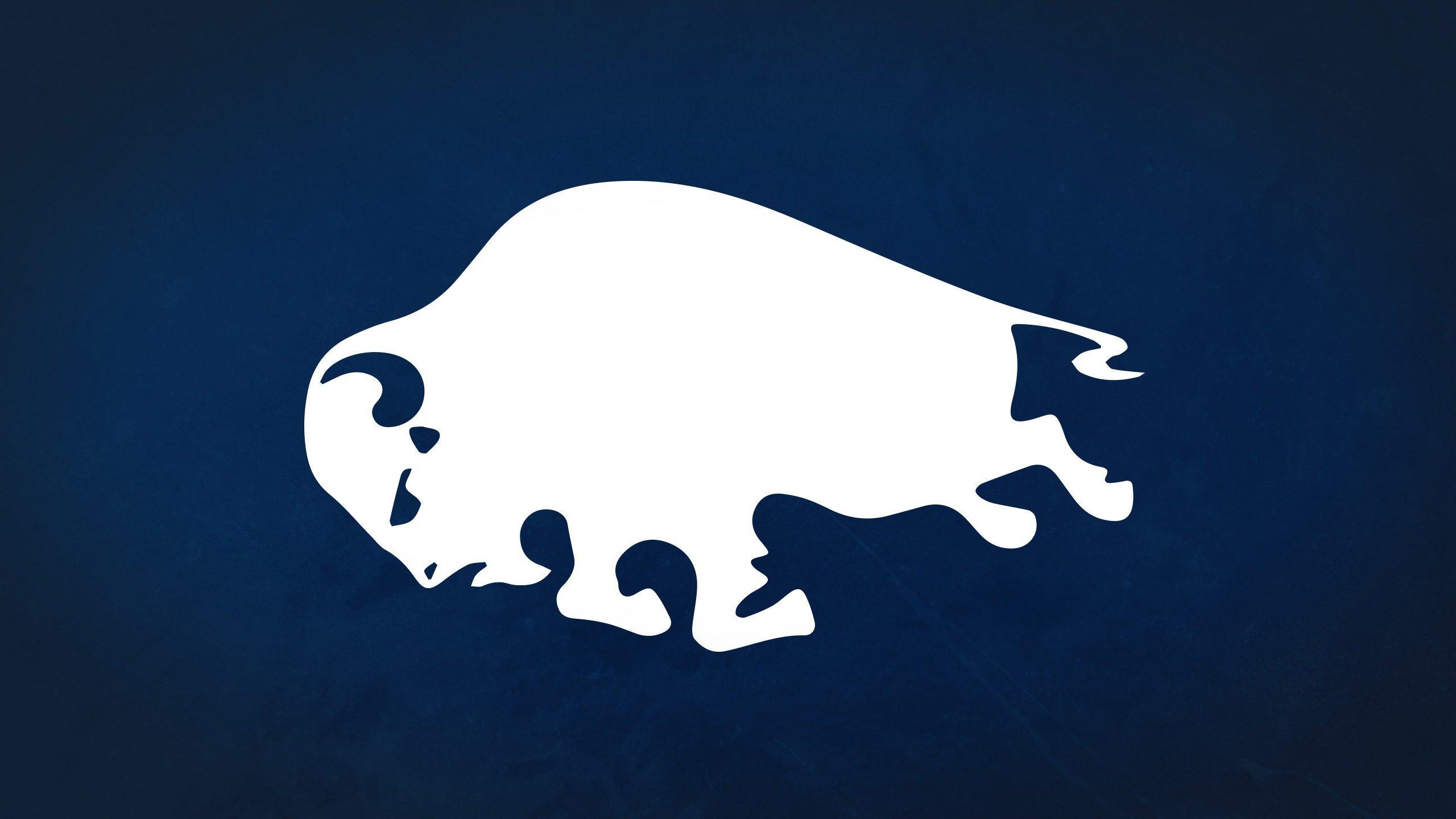 2560x1440 Buffalo Sabres wallpaper HD for desktop background