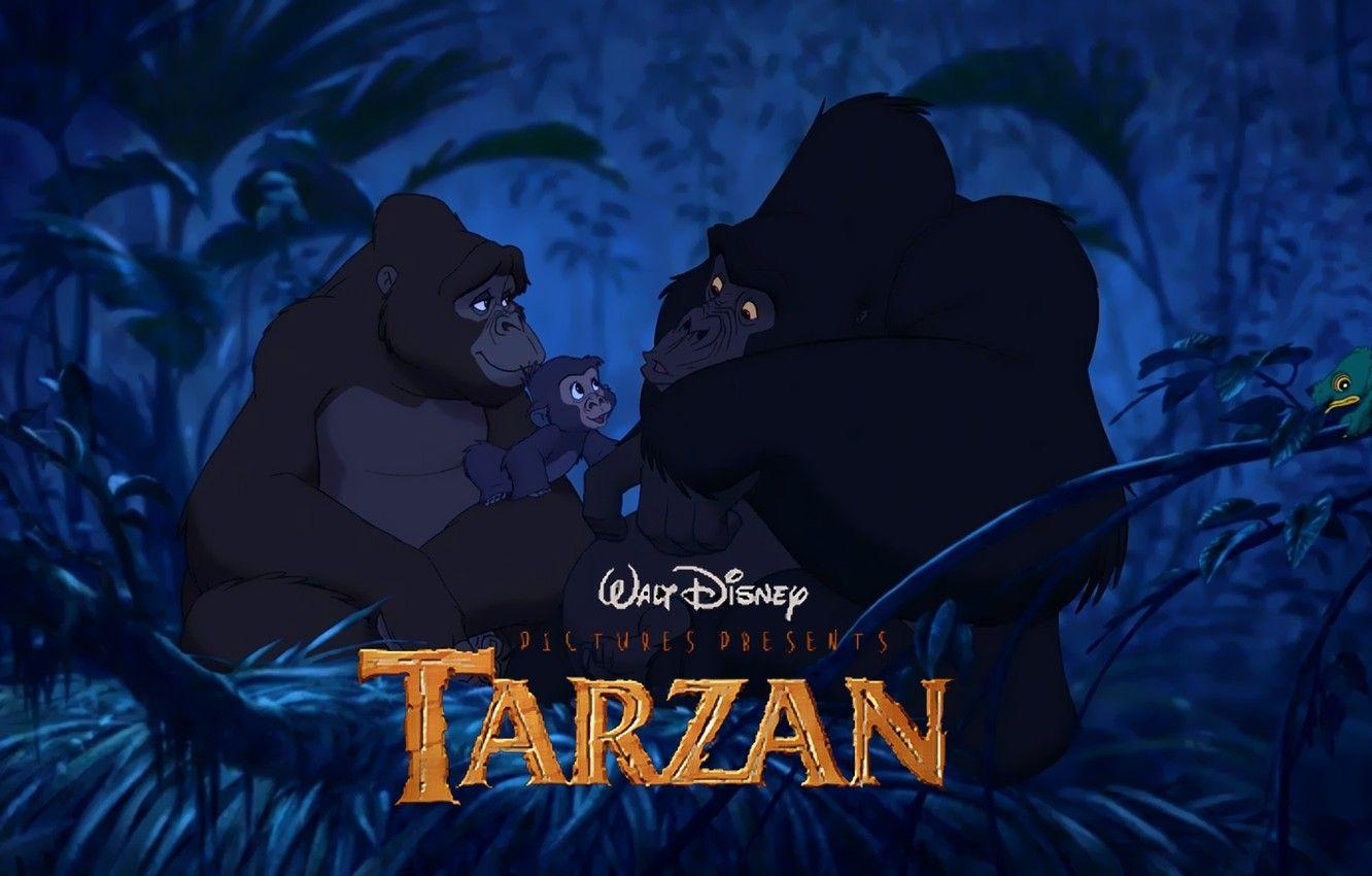Tarzan Cartoon Wallpapers - Top Free Tarzan Cartoon Backgrounds