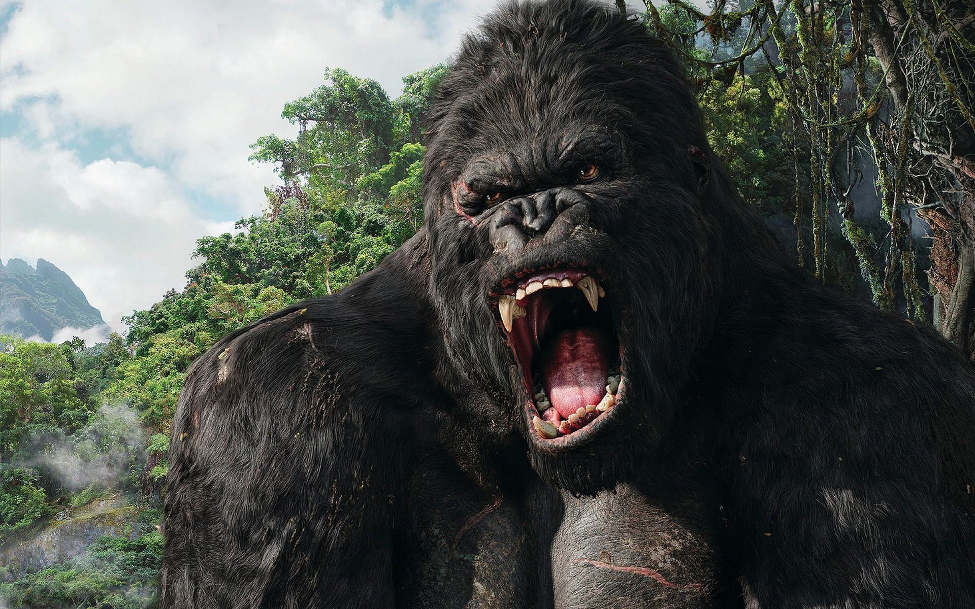1920x1200 Angry Gorilla Image Wallpaper Wp4002029 Wallpaper HD