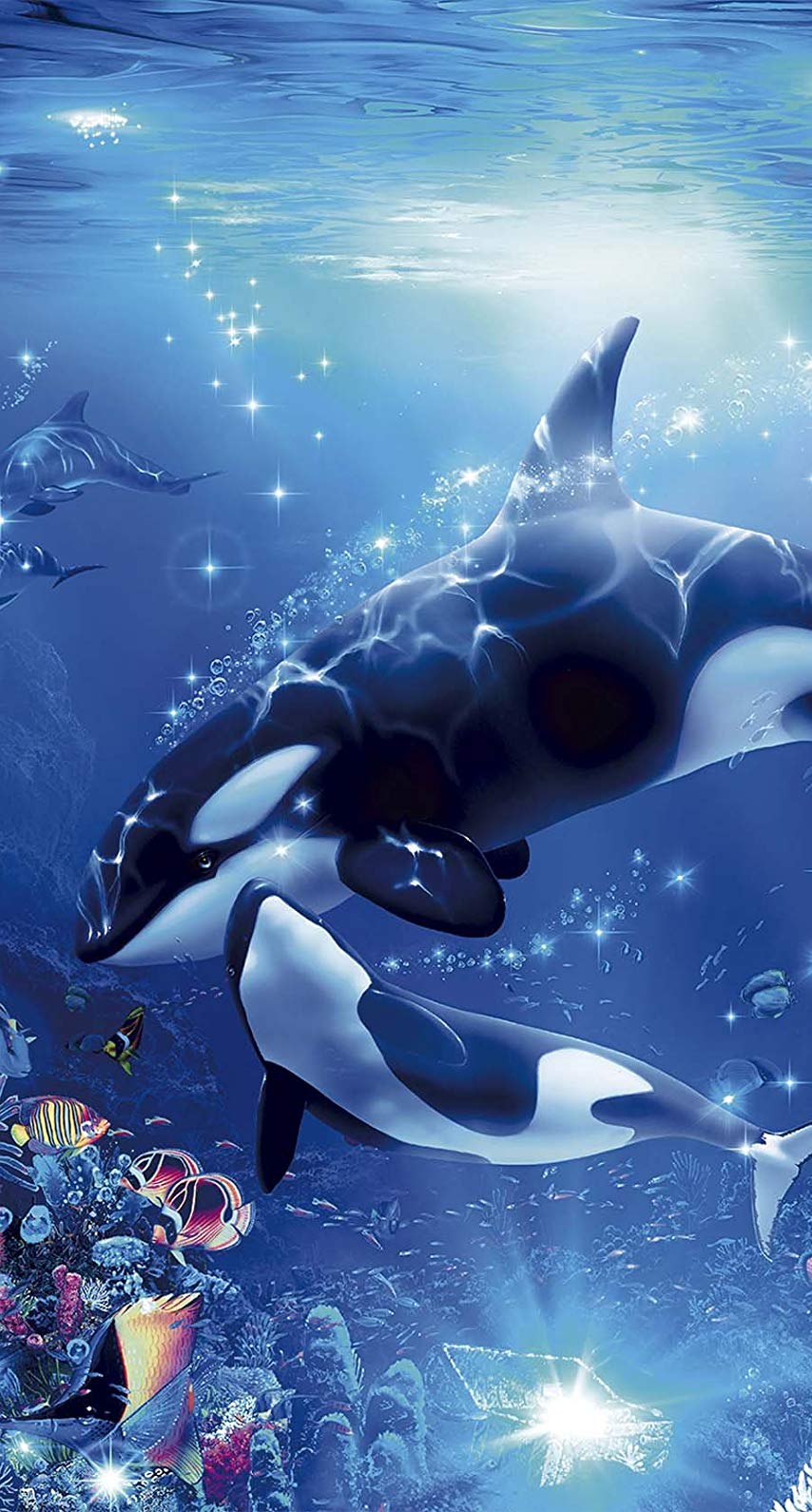 Orca Whale Wallpapers - Top Free Orca Whale Backgrounds - WallpaperAccess