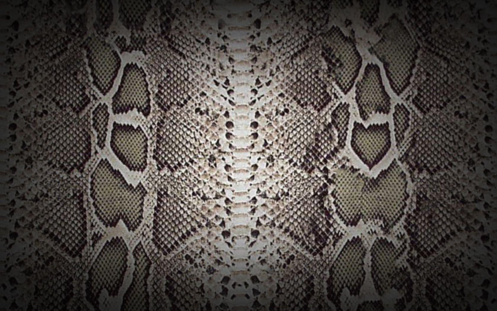 Graham  Brown Grey Snake skin Textured Wallpaper  DIY at BQ