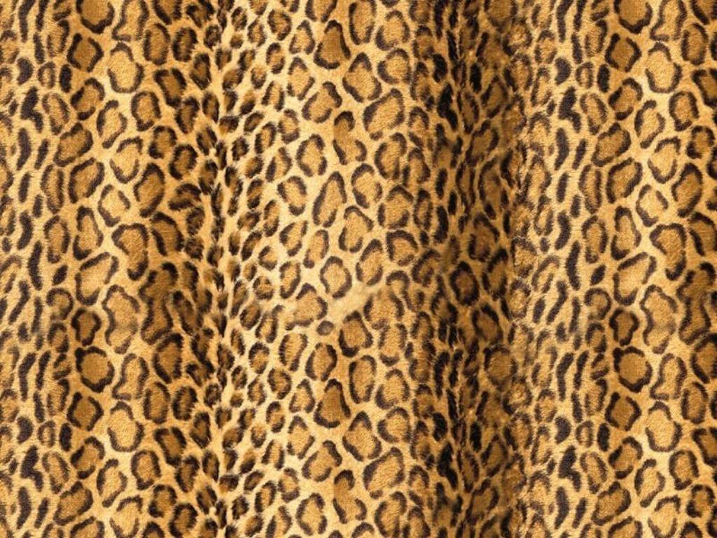1024x768 Free Leopard Background Cheetah Print Background Wallpaper & Background Download