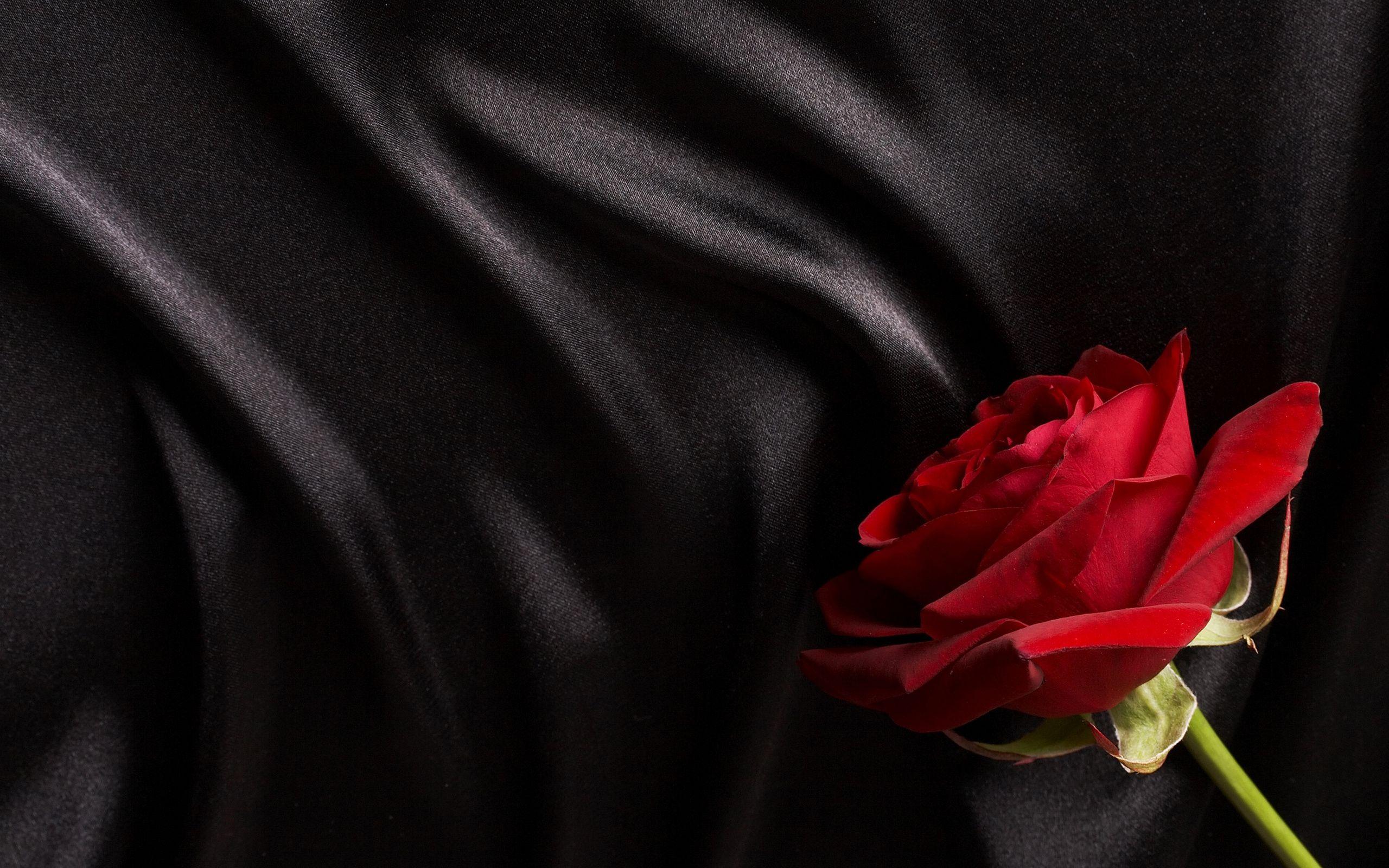2560x1600 Wallpaper. Textures. photo. picture. black, silk, satin, Red, rose