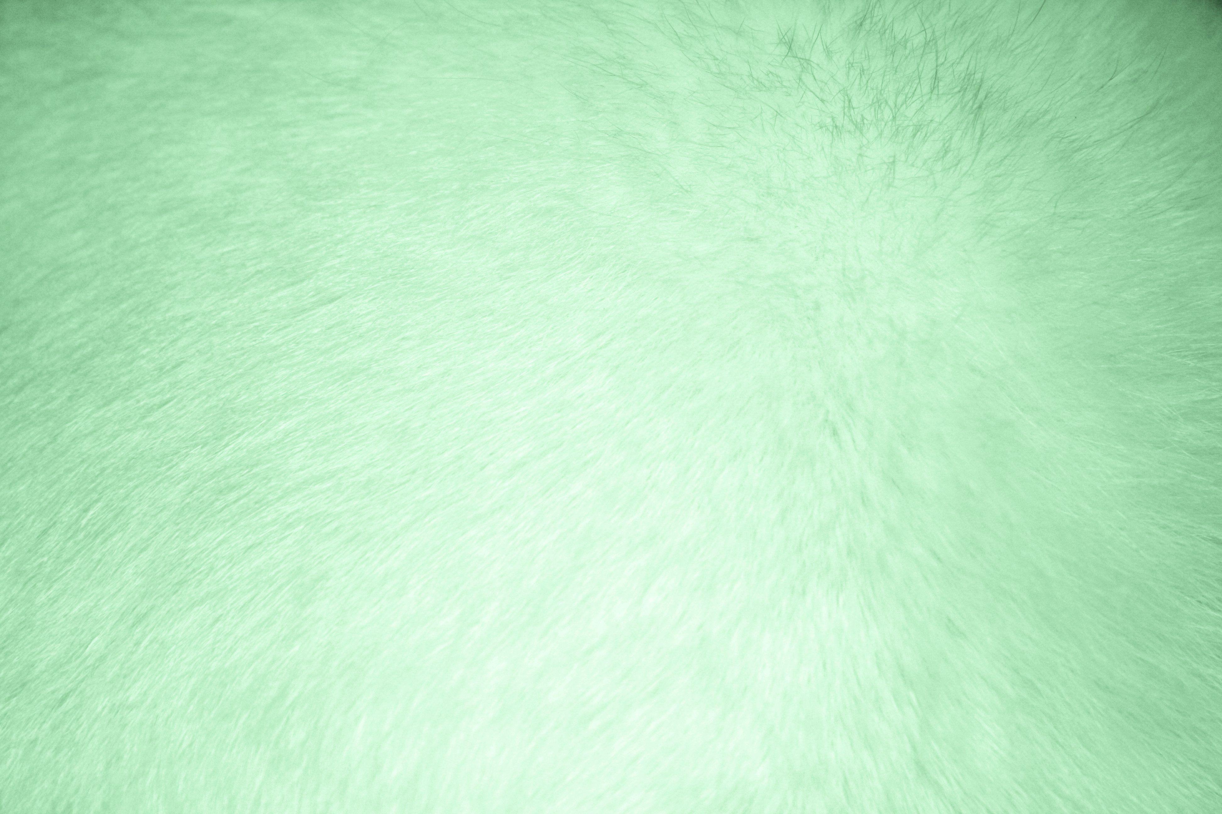 lime green textured background