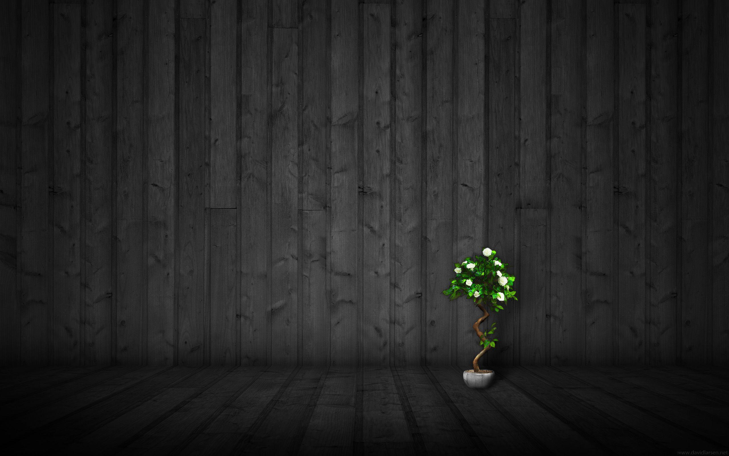2560x1600 Black Wooden Slats. Dark wallpaper, Dark background wallpaper