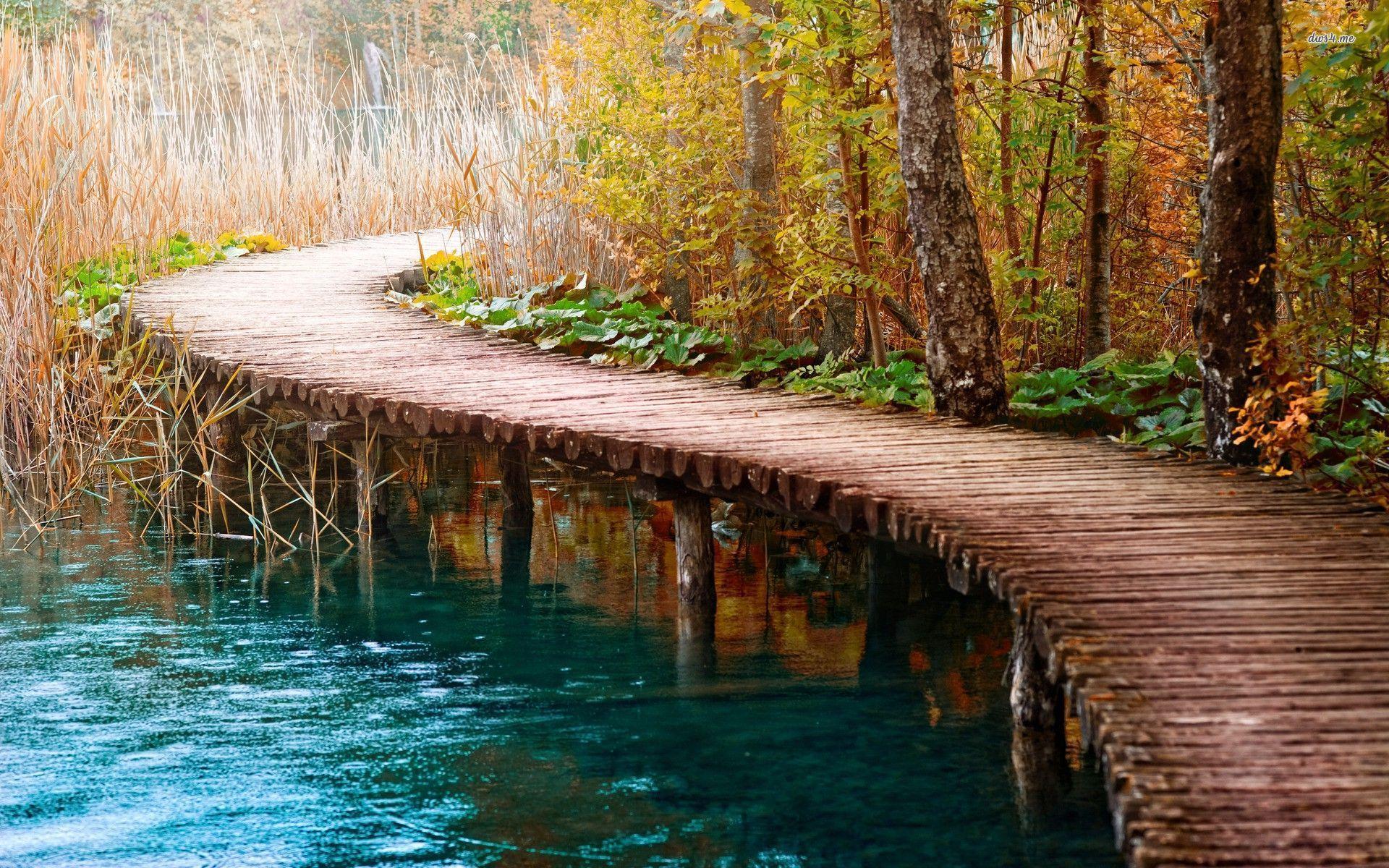 Wooden Bridge Wallpapers - Top Free Wooden Bridge Backgrounds ...