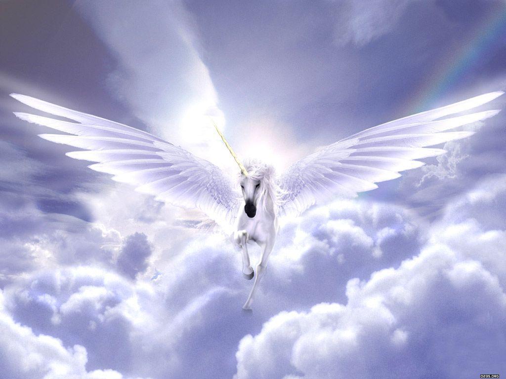 1024x768 Gallery Heavenly Wallpaper. Stylish Gallery Wallpaper