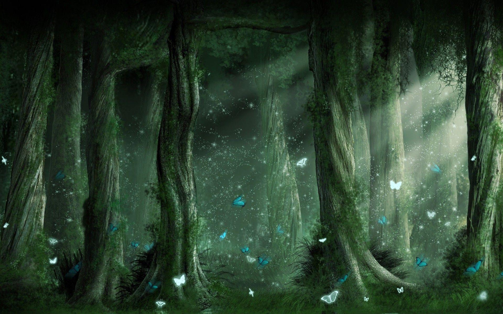 Magical Forest Wallpapers Top Free Magical Forest Backgrounds Wallpaperaccess