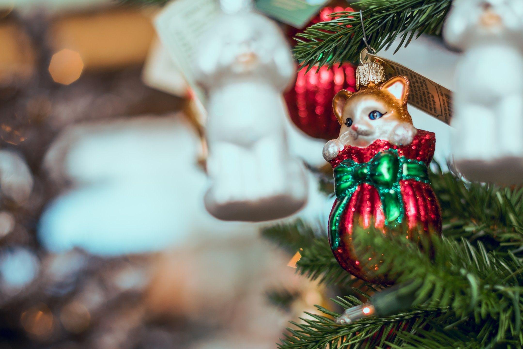2160x1440 Download 2160x1440 Christmas Decoration, Cat, Ornament