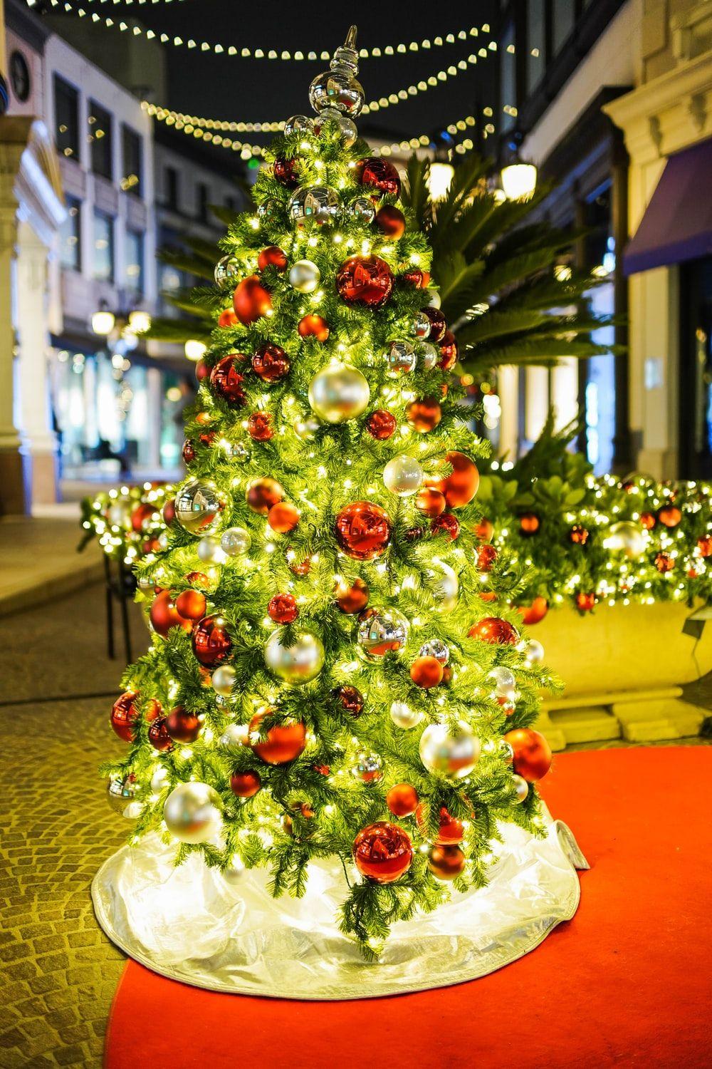 1000x1500 Christmas Tree Picture [HQ]. Download Free Image