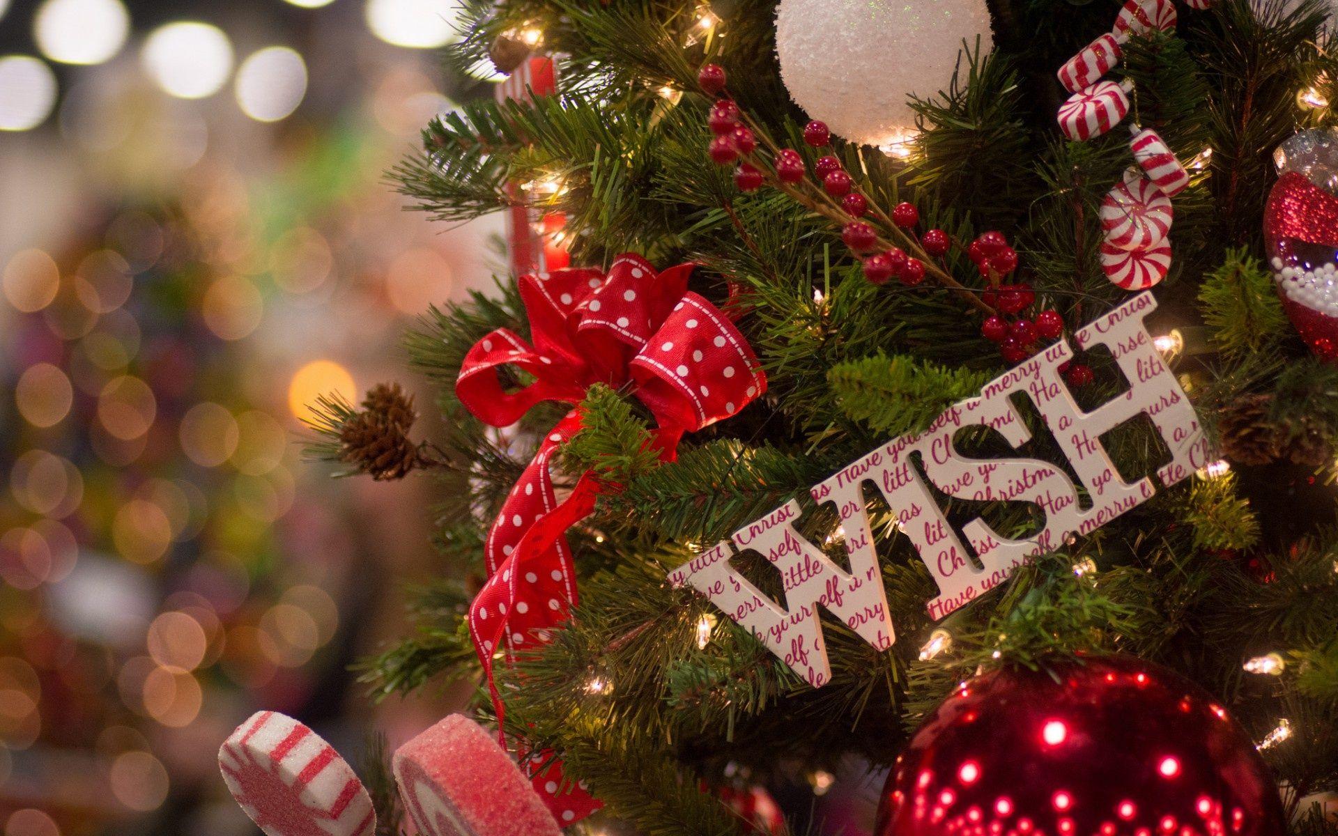1920x1200 Wallpaper Christmas tree, decorations, candy, candy canes, ribbon