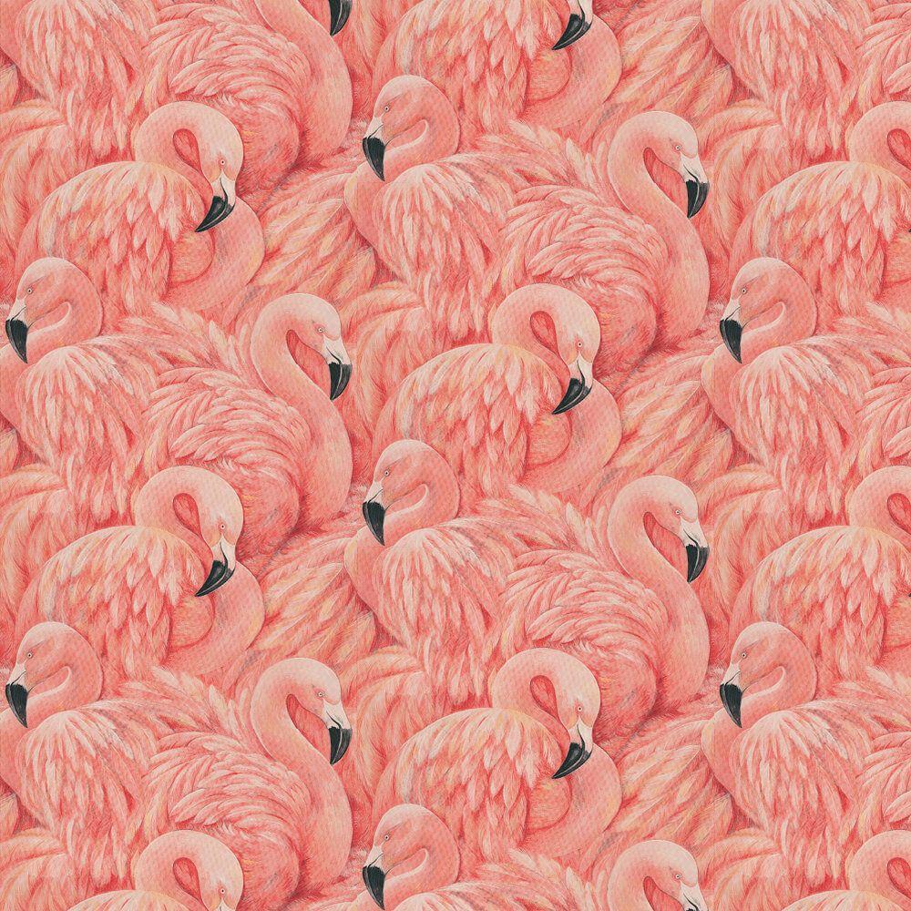 1000x1000 Flamingos by Albany : Wallpaper Direct