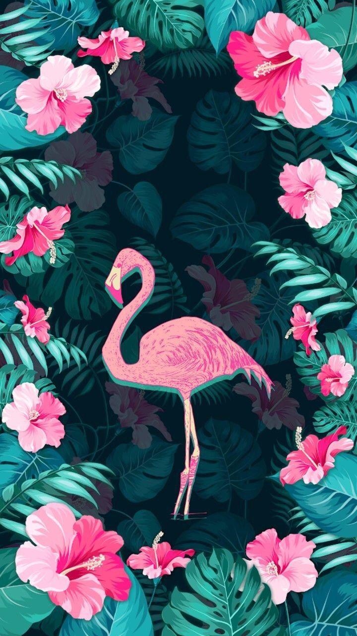 Pink Flamingos in a Tropical Setting Live Wallpaper  free download