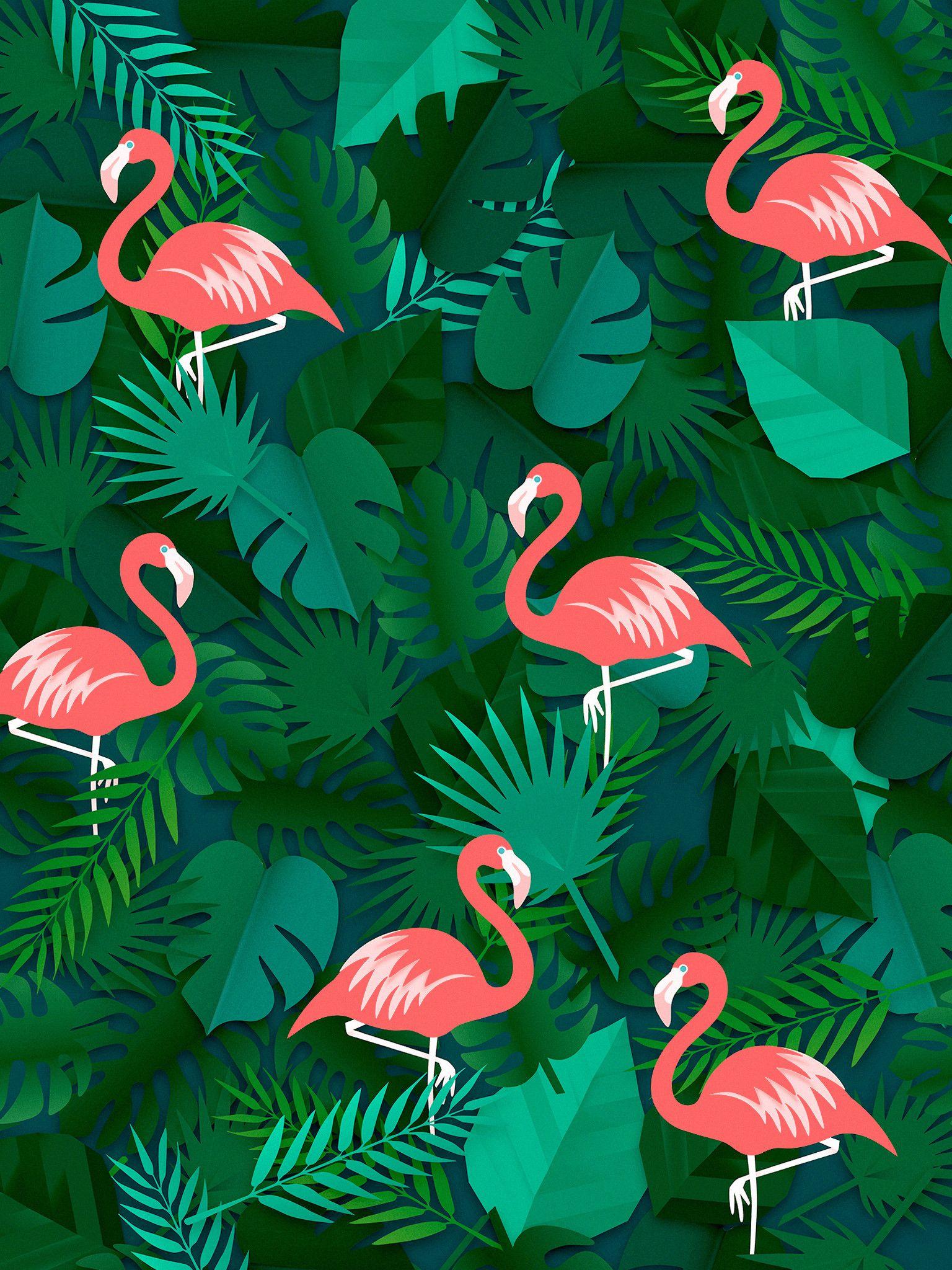 1536x2048 Flamingo Wallpaper