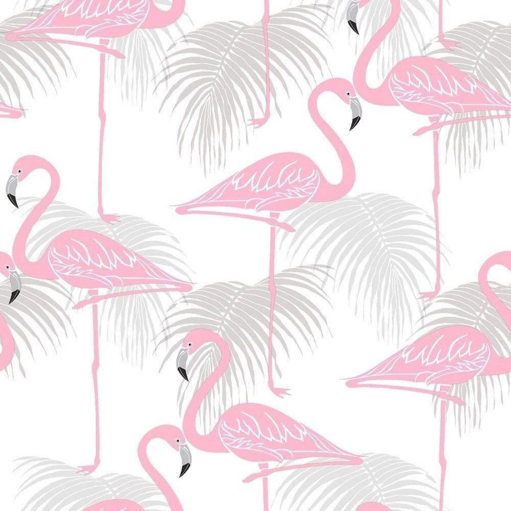 1000x1000 Free download Flamingo Wallpaper Image Group 47 [1000x1000]