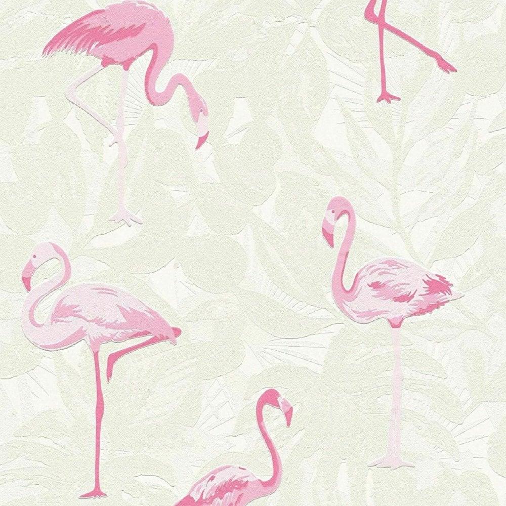 Pink Flamingo Wallpapers - Top Free Pink Flamingo Backgrounds
