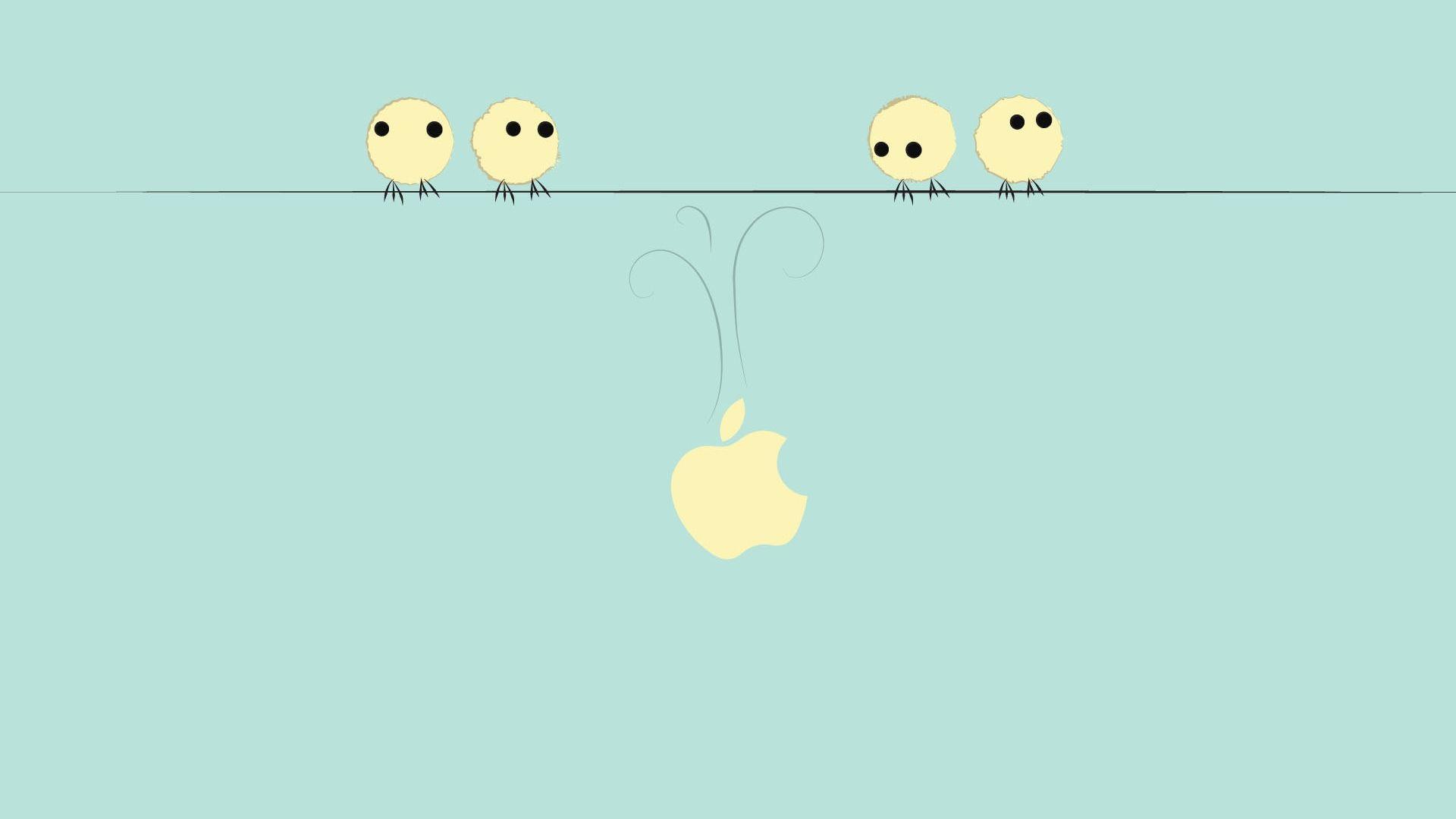 1920x1080 Free download cute fotografa pjaro fondos de pantalla mac fondo