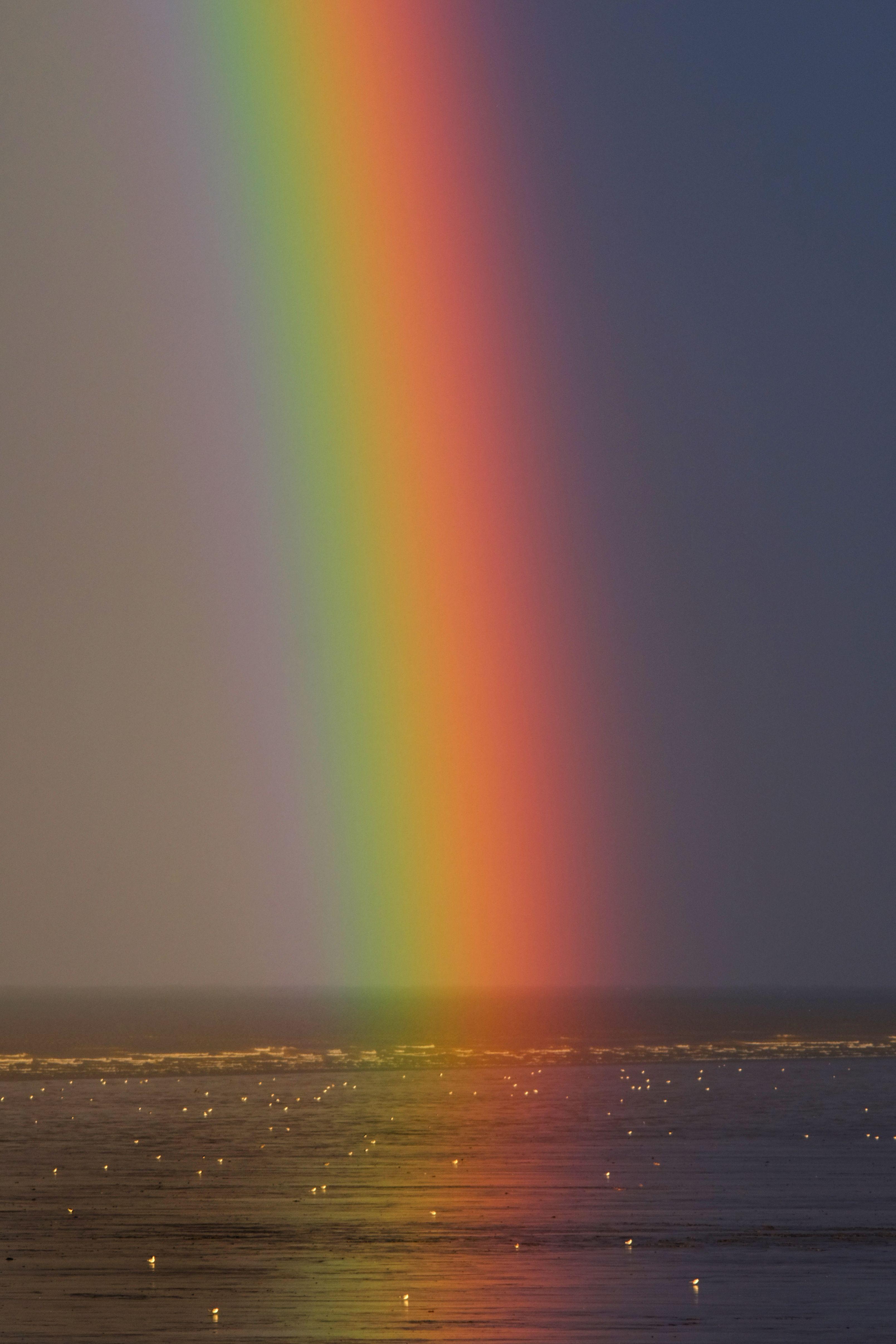3217x4825 Rainbow Picture [HD]. Download Free Image