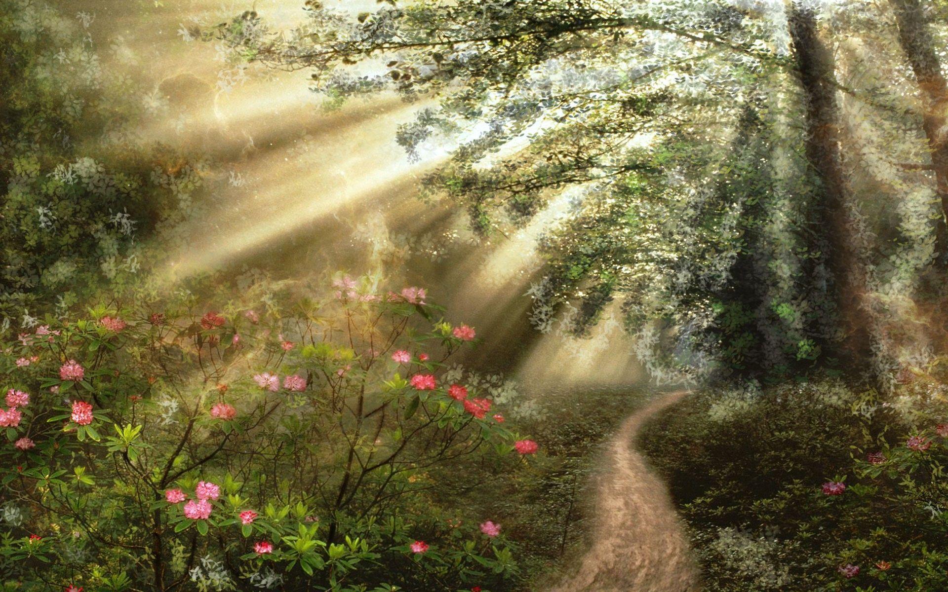 1920x1200 Magical Forest Flowers Sunshine Path Nature Jungle Wallpaper