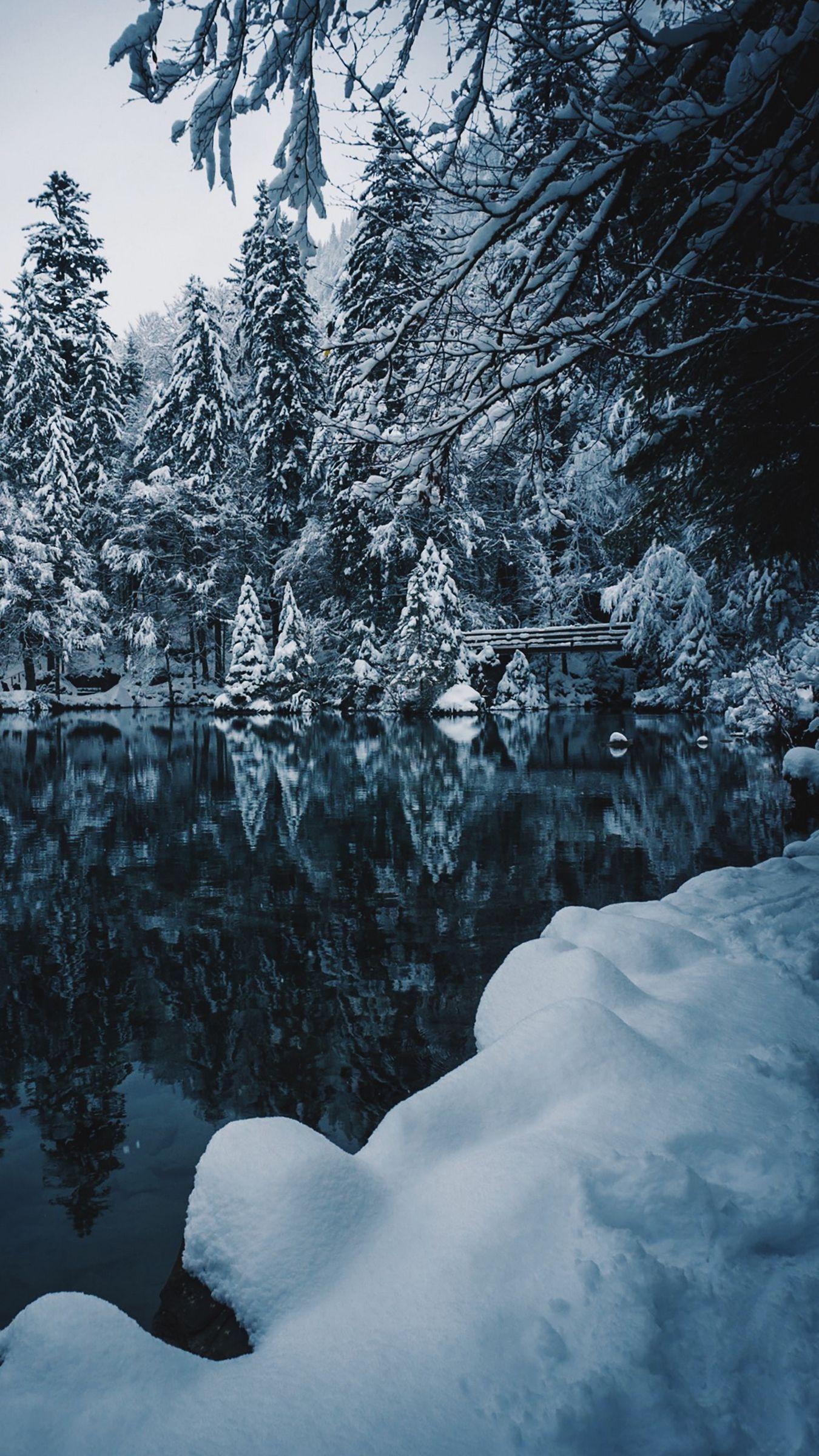 1350x2400 Download wallpaper 1350x2400 lake, snow, branches, winter, snowy