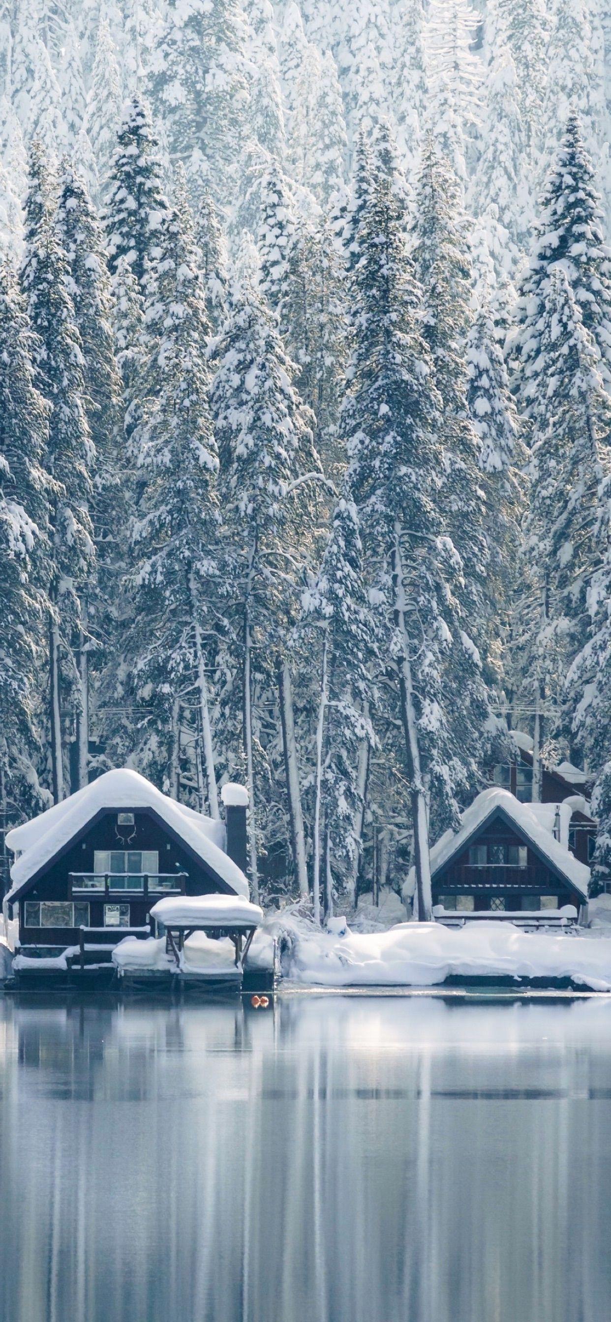 1242x2688 Wallpaper For Winter