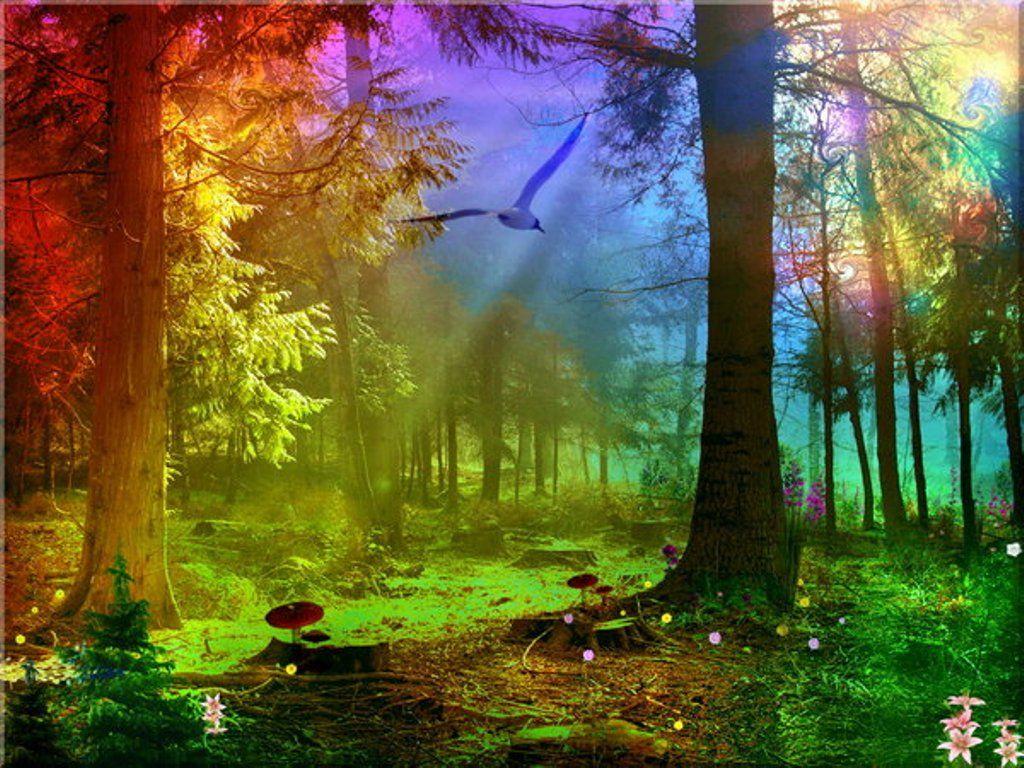 1024x768 Magic Wallpaper Download