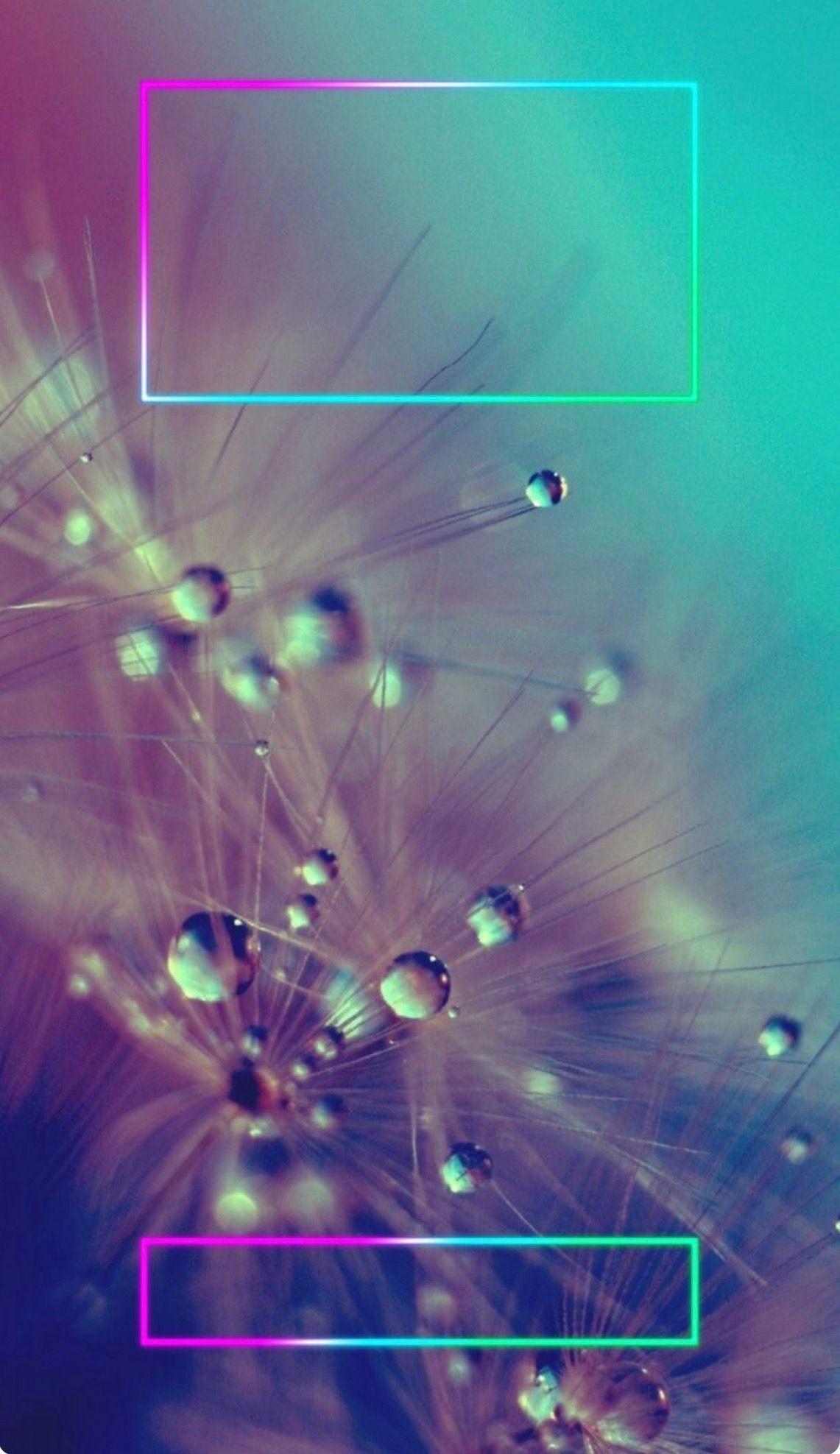 1141x1975 JW.ORG. iPhone 5s wallpaper, iPhone wallpaper, Cellphone wallpaper