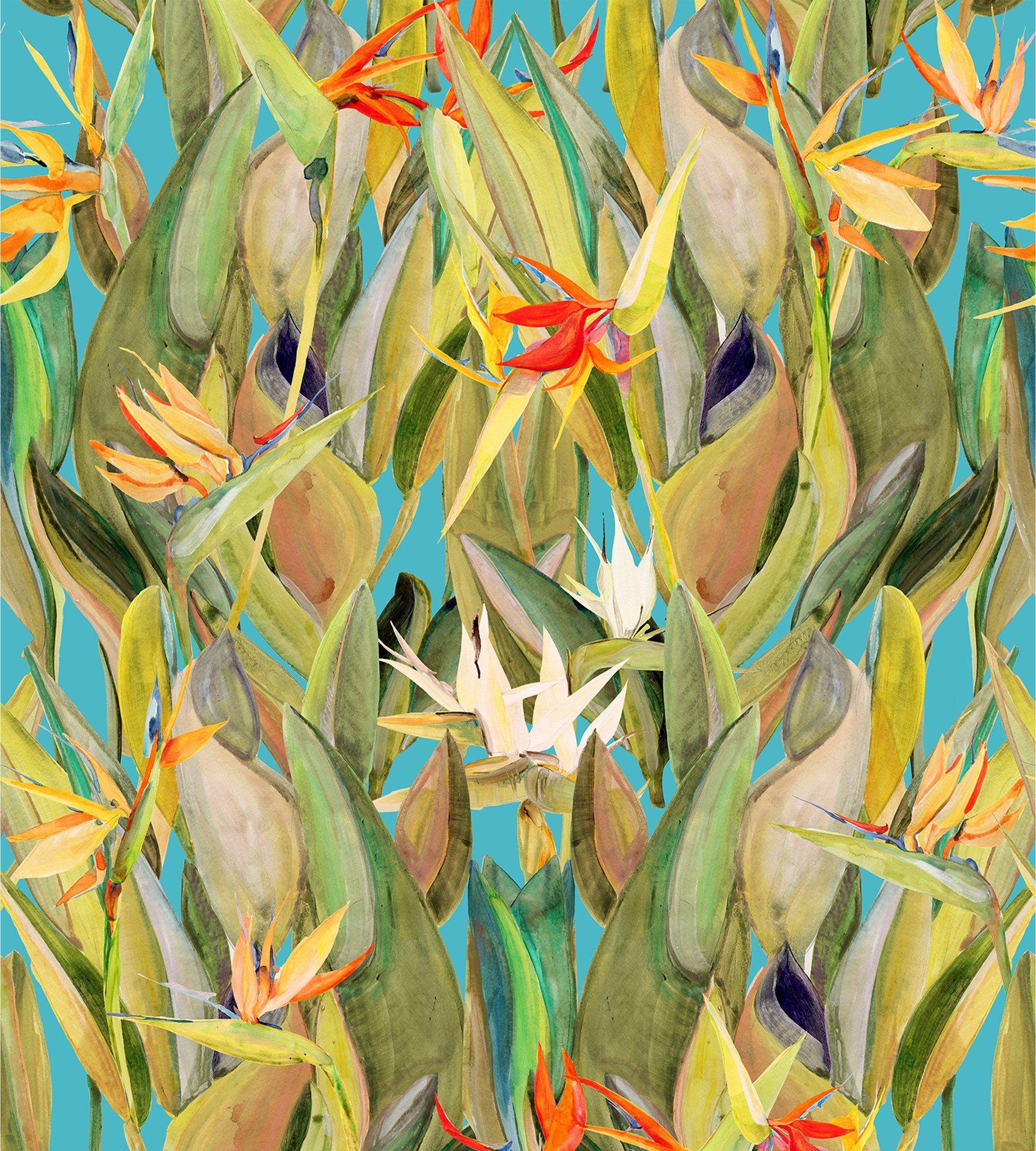 1843x2048 Bird Of Paradise Wallpaper