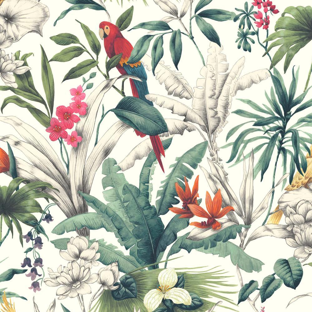 Tropical ThemeBirds of Paradise Designer Wallpaper Customised for Homes   lifencolors