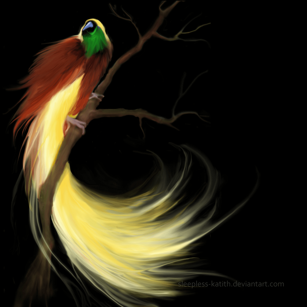 1024x1024 Bird Of Paradise By Sleepless Katith